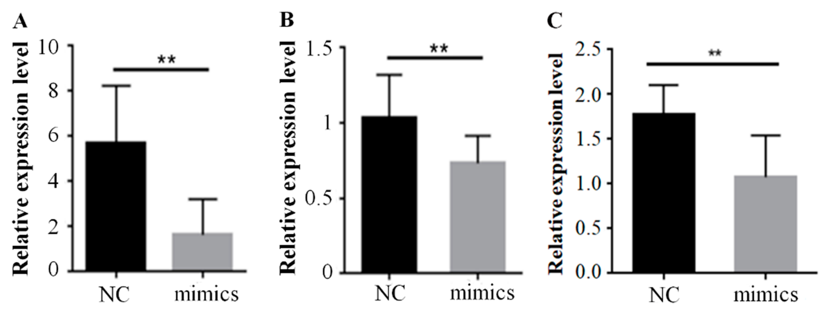 Ijms 20 04063 g004