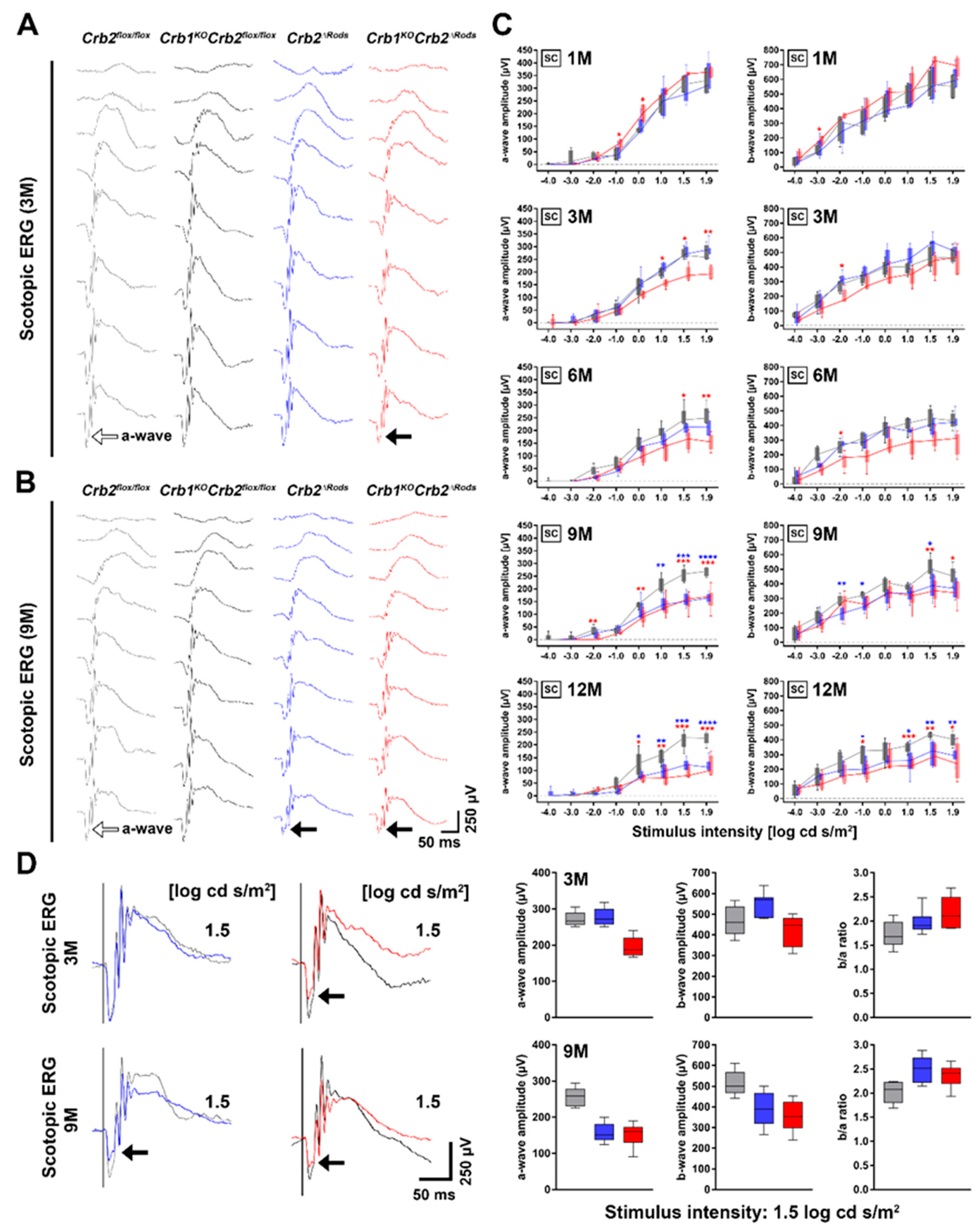 Ijms 20 04069 g001 Ijms 20 04069 g001