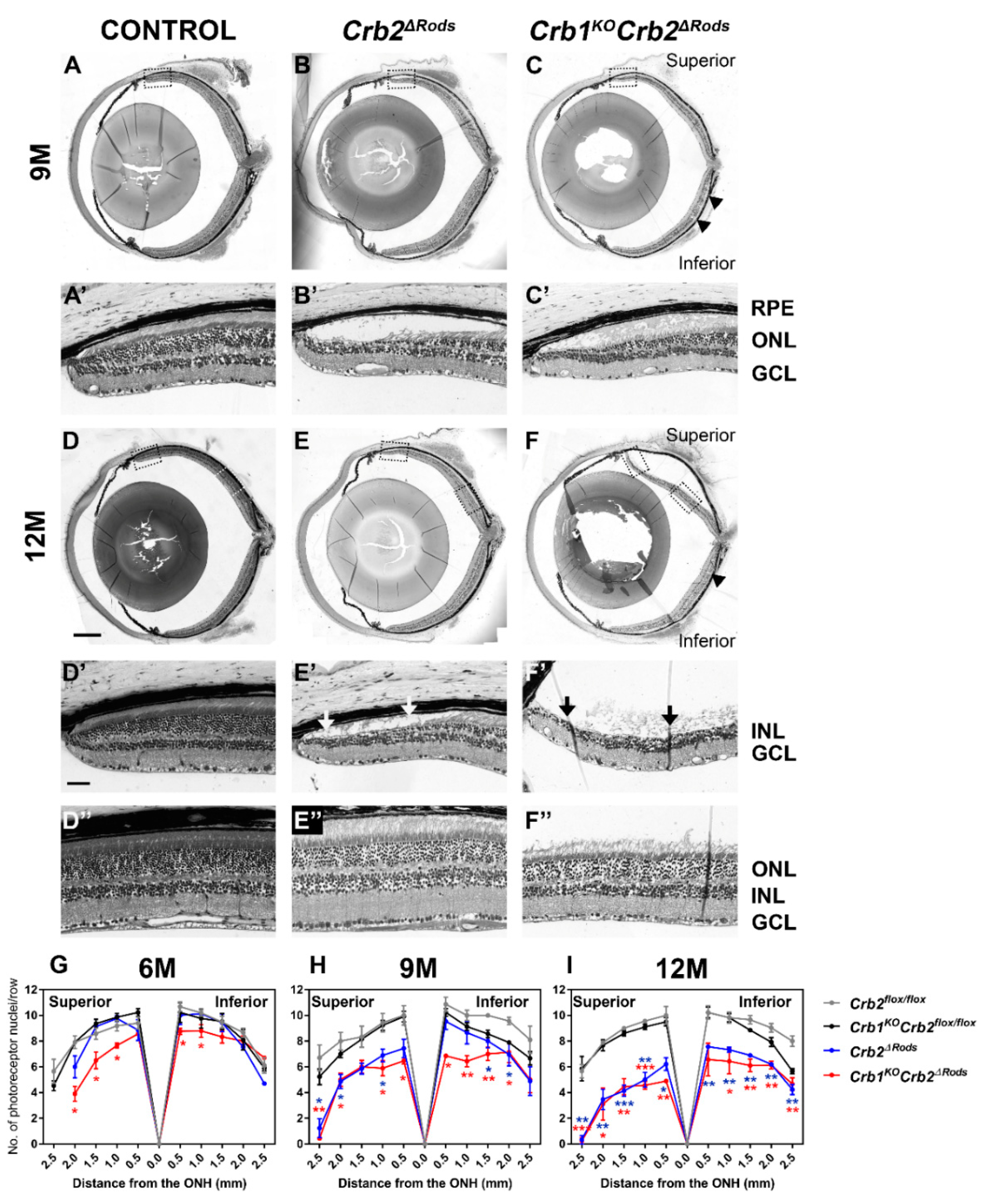 Ijms 20 04069 g005 Ijms 20 04069 g005