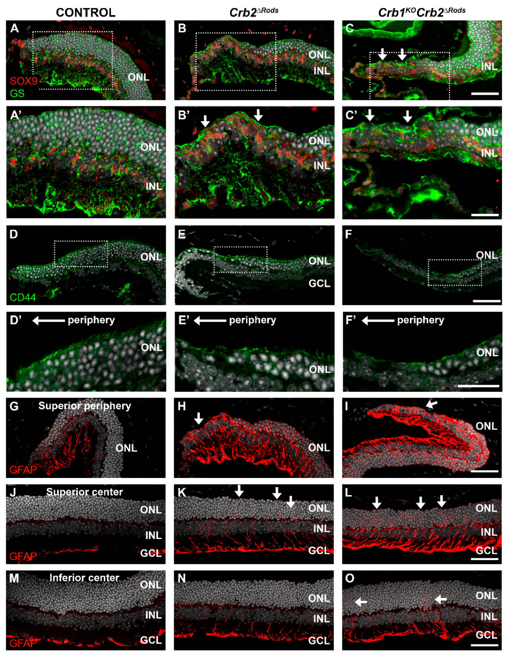 Ijms 20 04069 g009 Ijms 20 04069 g009