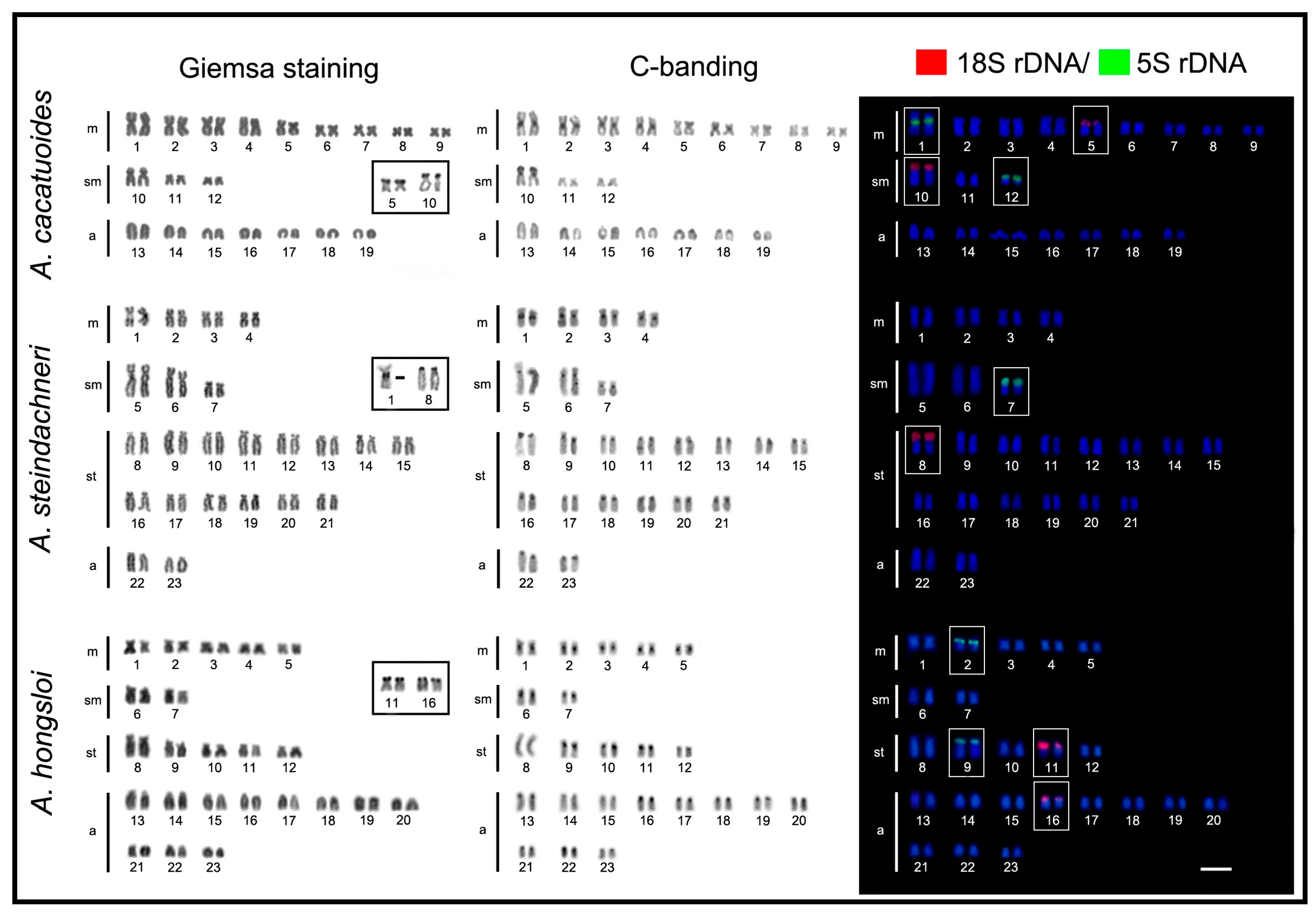 Ijms 20 04077 g001