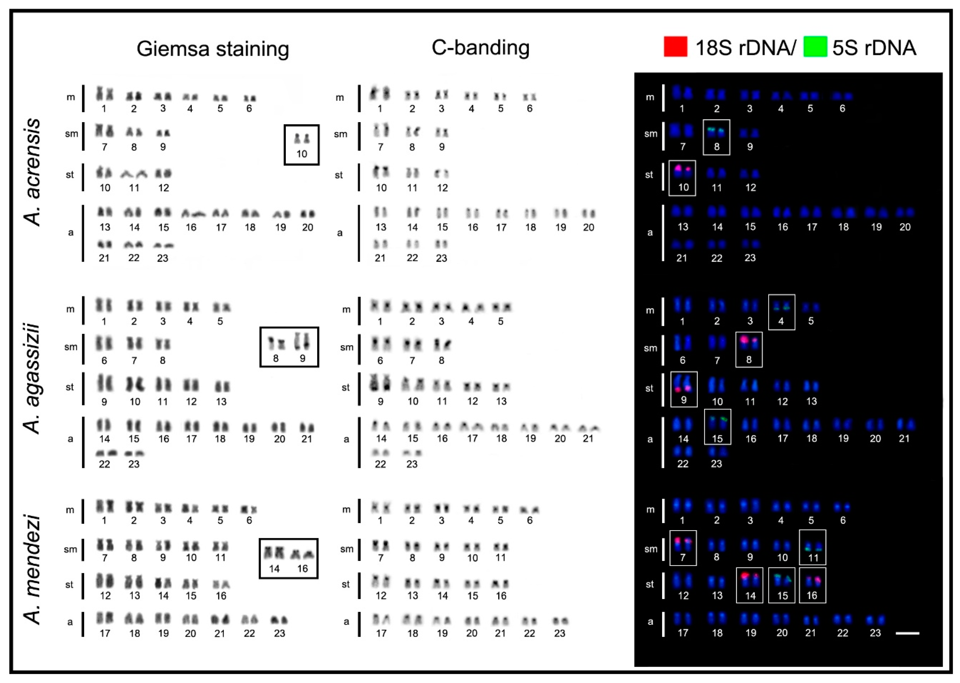 Ijms 20 04077 g002