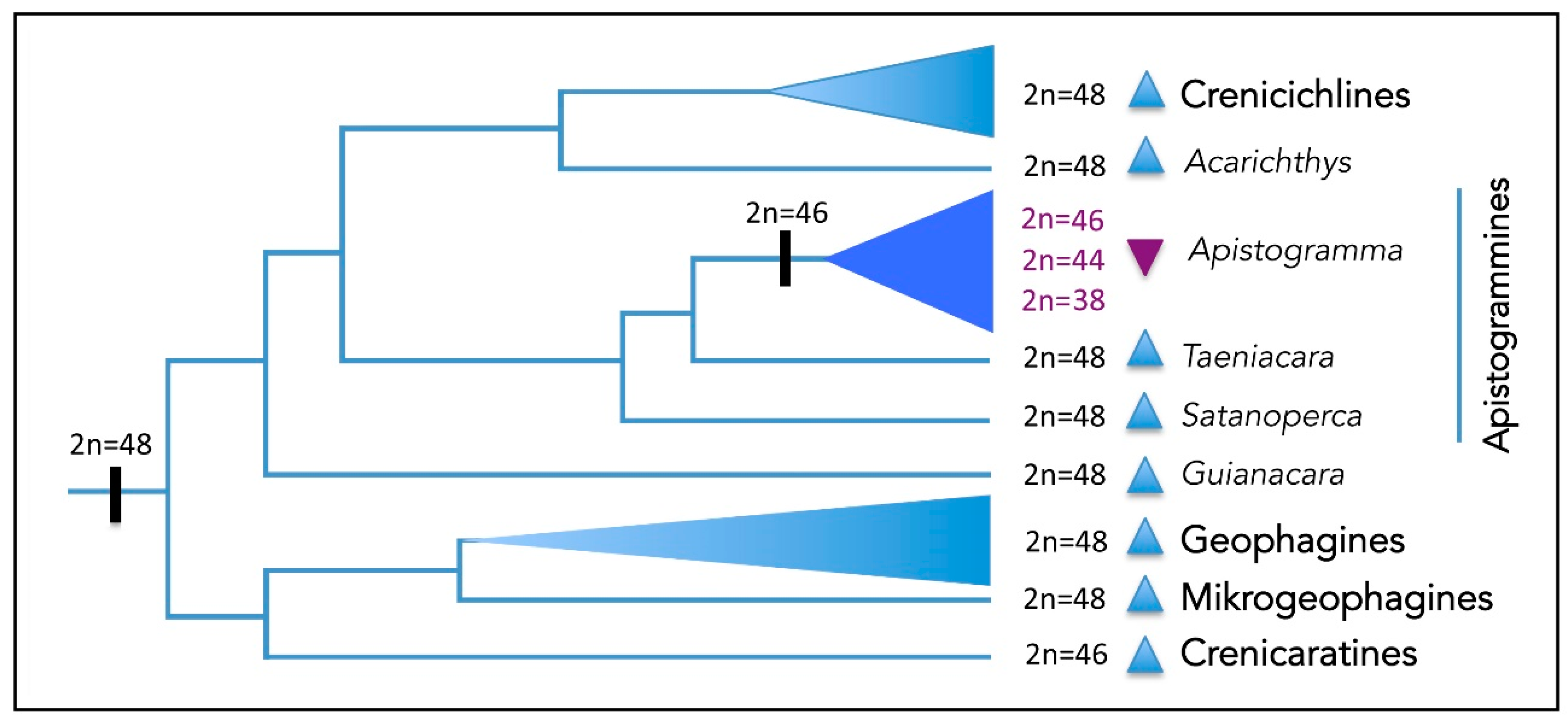Ijms 20 04077 g006