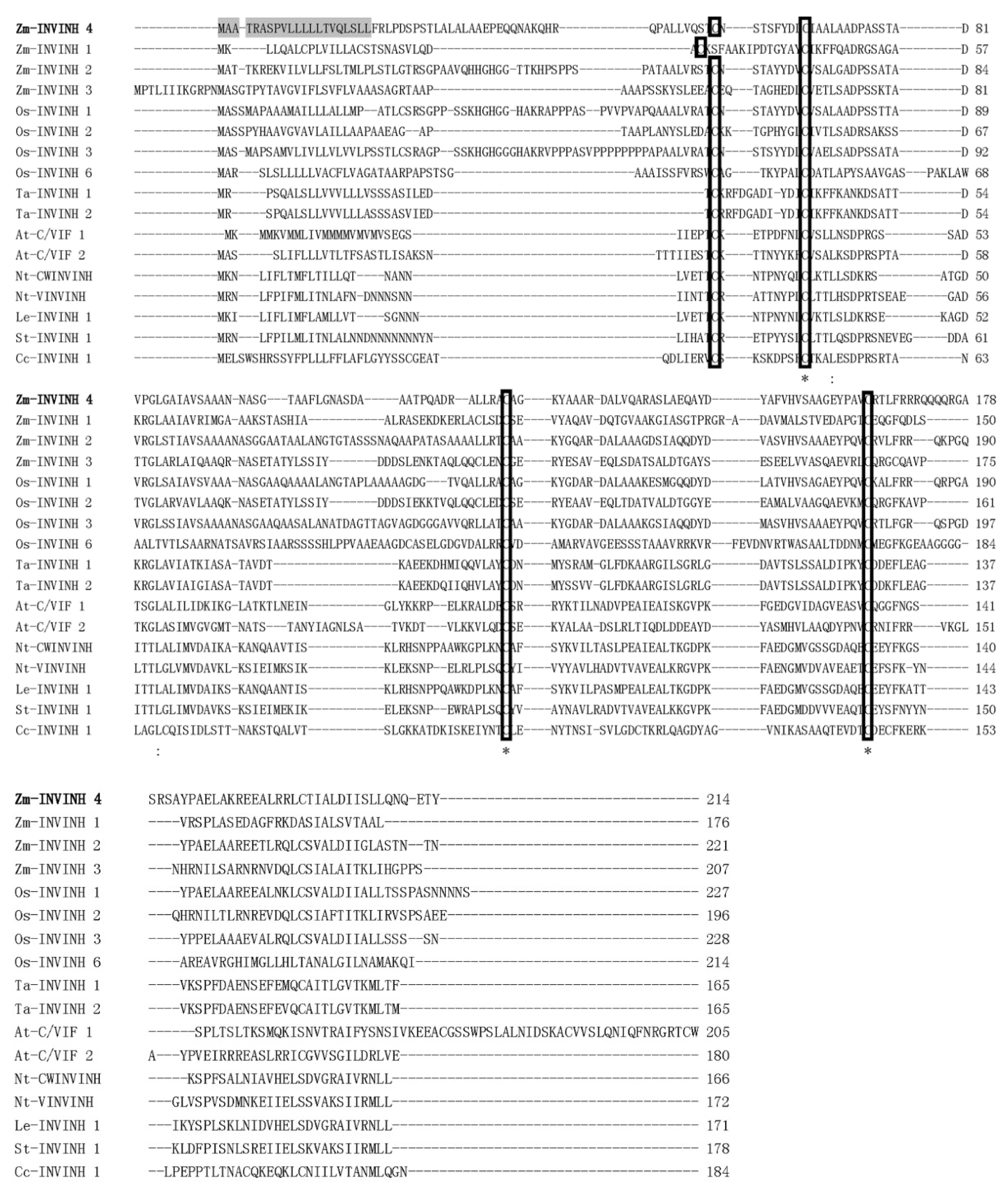 Ijms 20 04081 g001 Ijms 20 04081 g001
