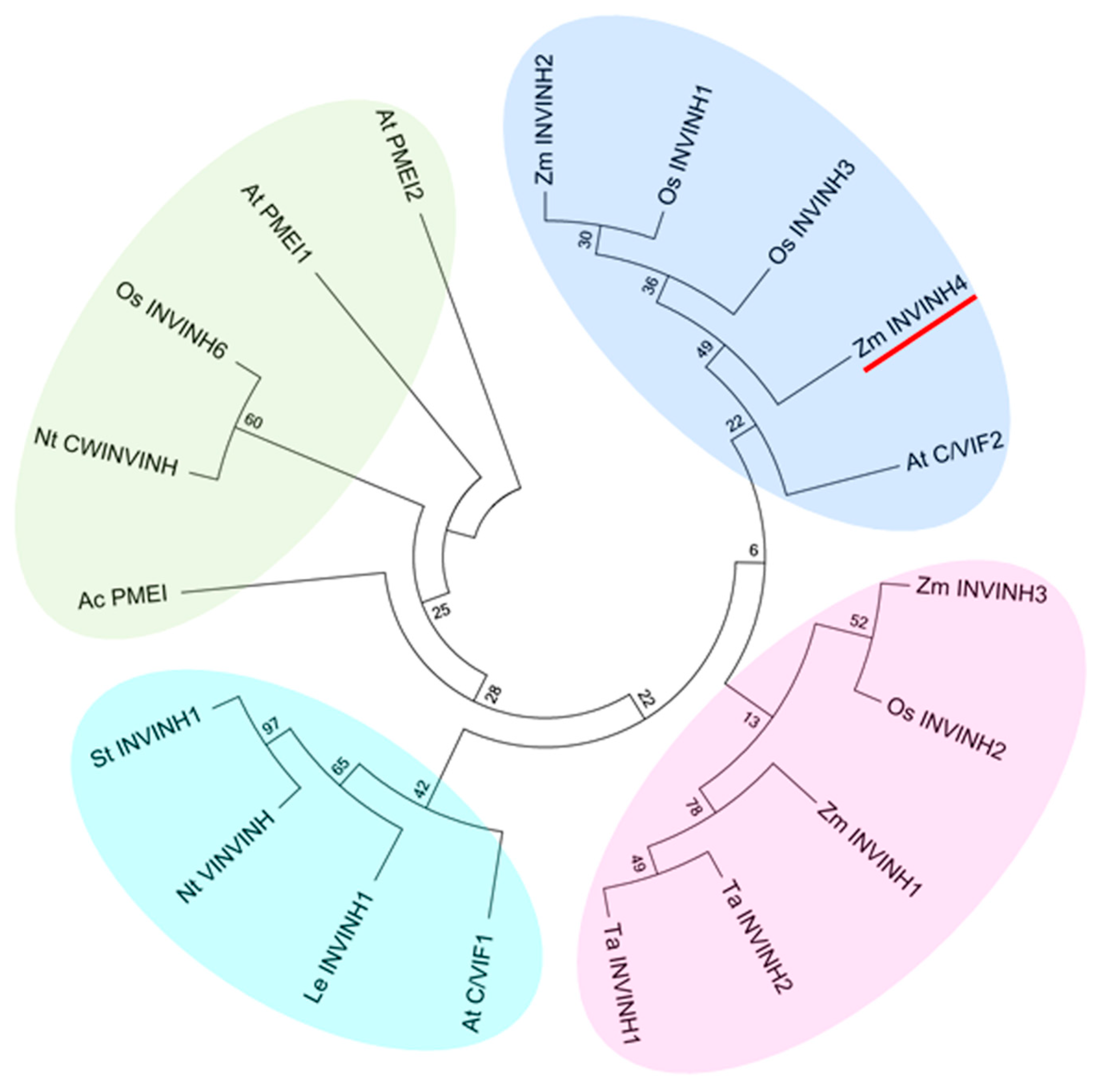 Ijms 20 04081 g002 Ijms 20 04081 g002