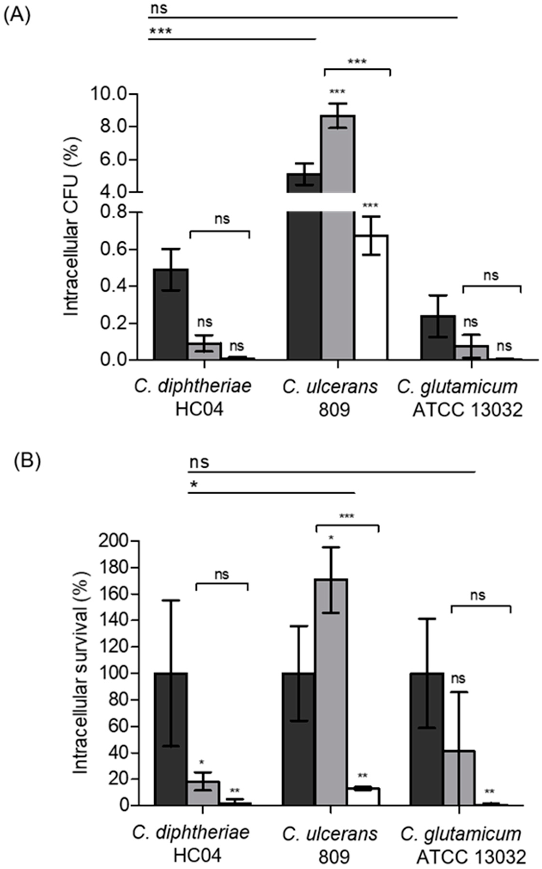 Ijms 20 04109 g001 550