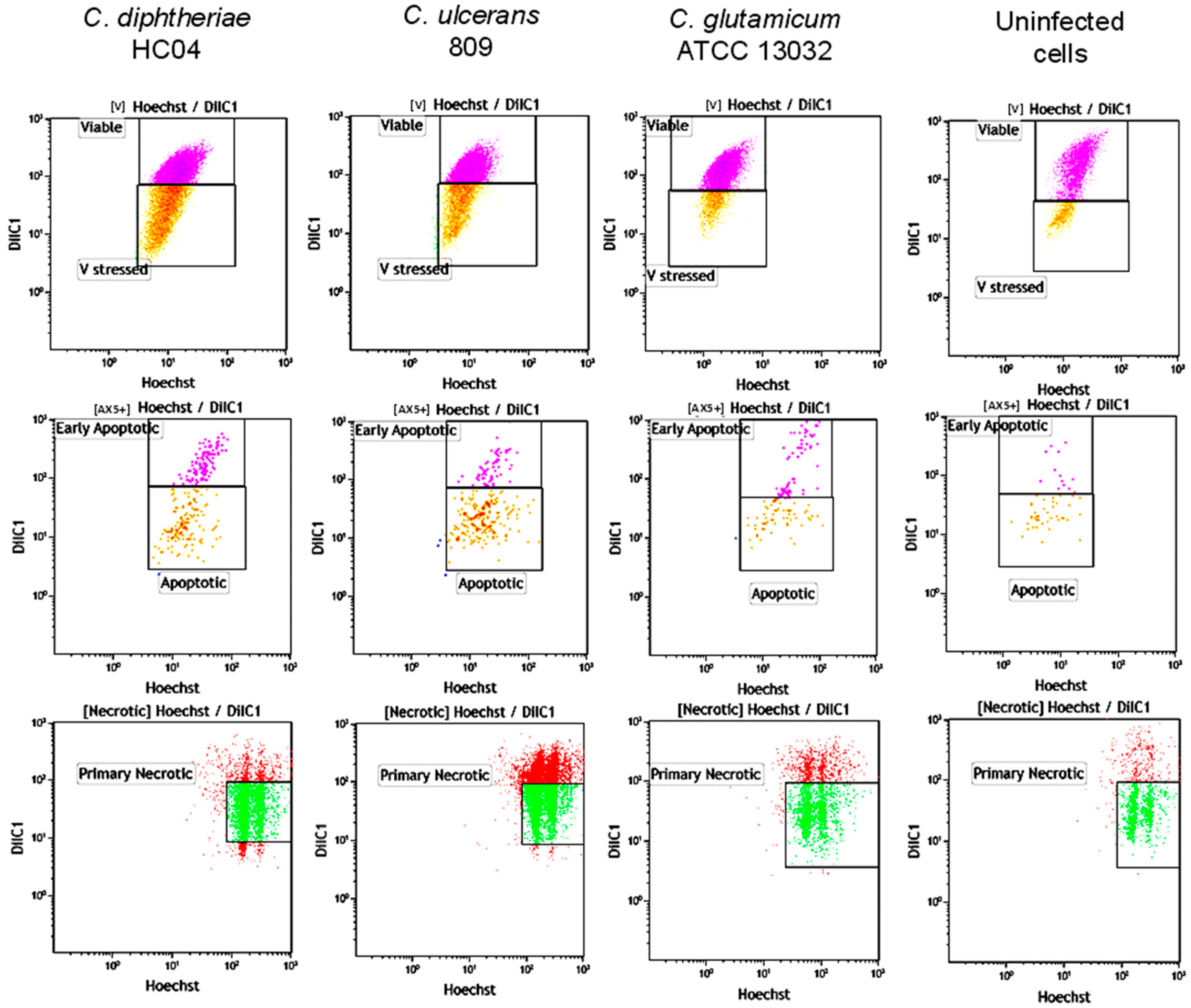 Ijms 20 04109 g006 550
