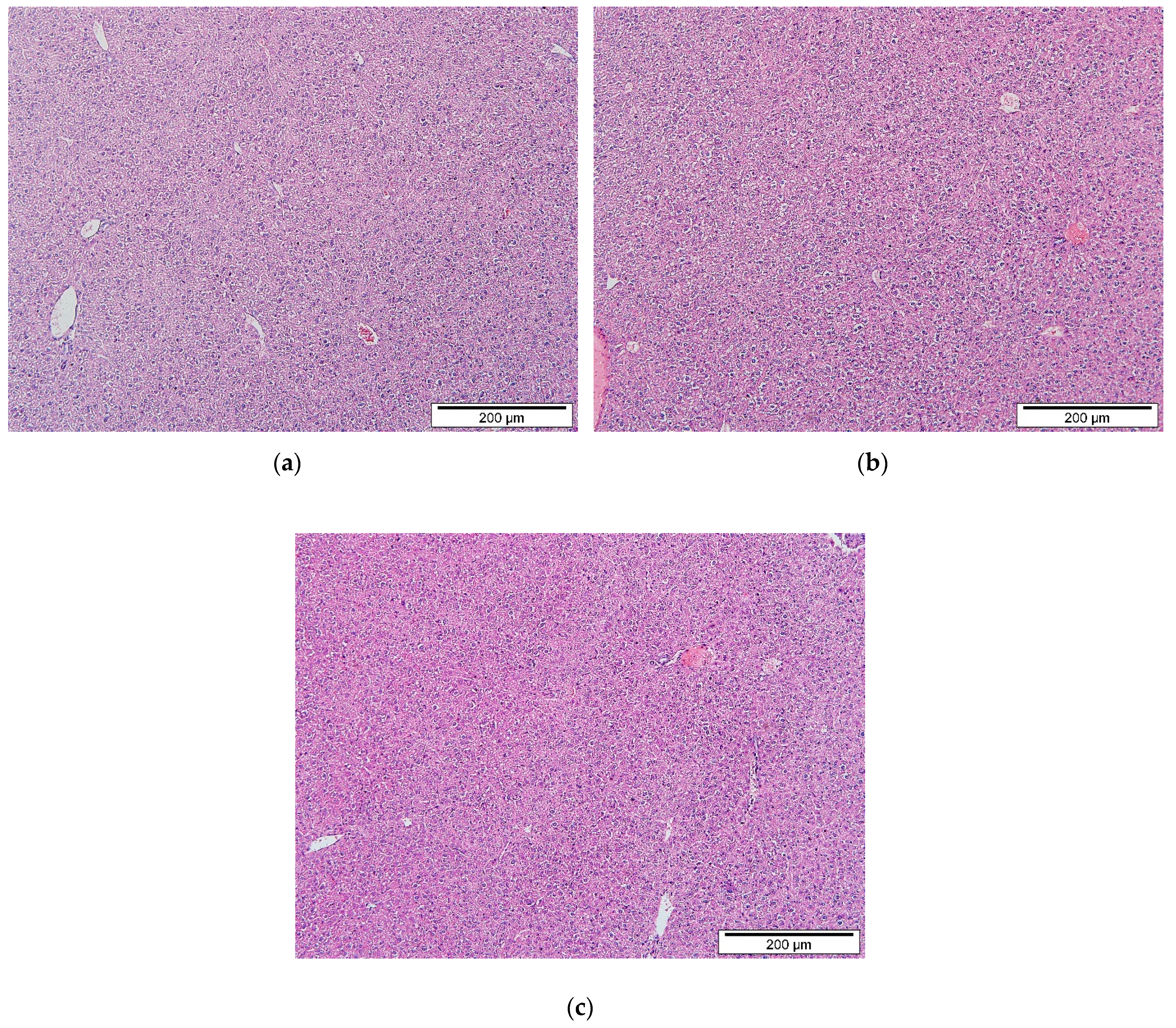 Ijms 20 04114 g002 550