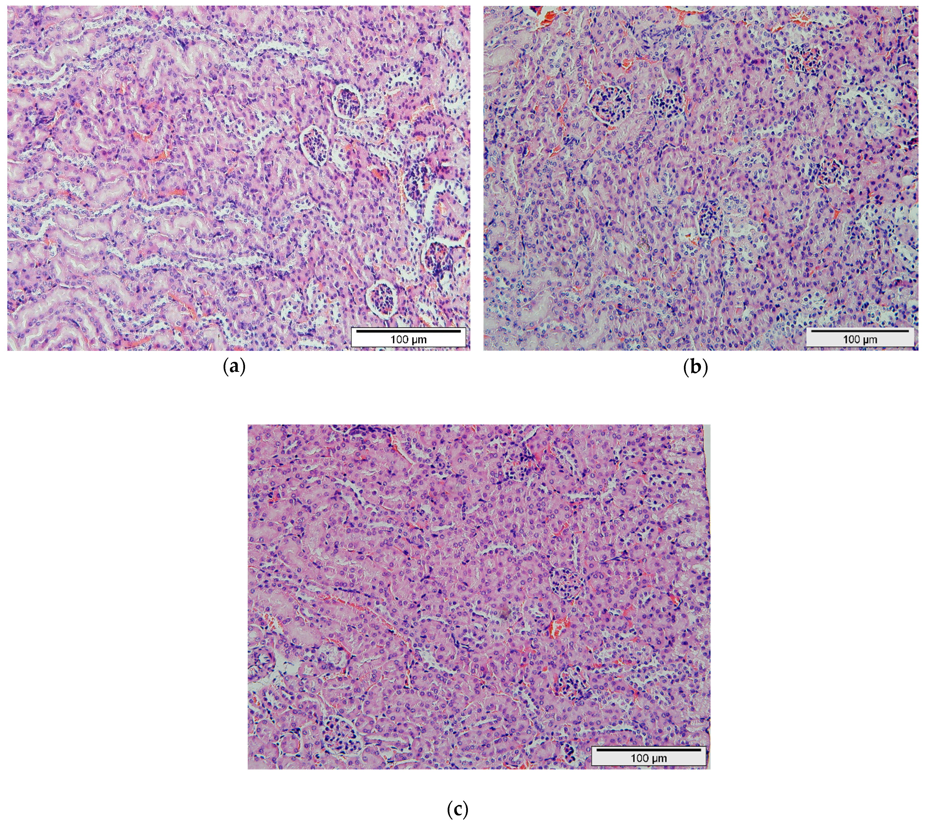 Ijms 20 04114 g003 550