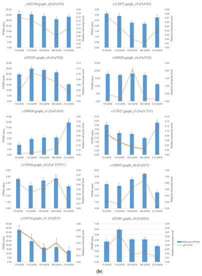 Transcriptome Profiling Provides Insight into the Genes in Transcriptome Profiling Provides Insight into the Genes in