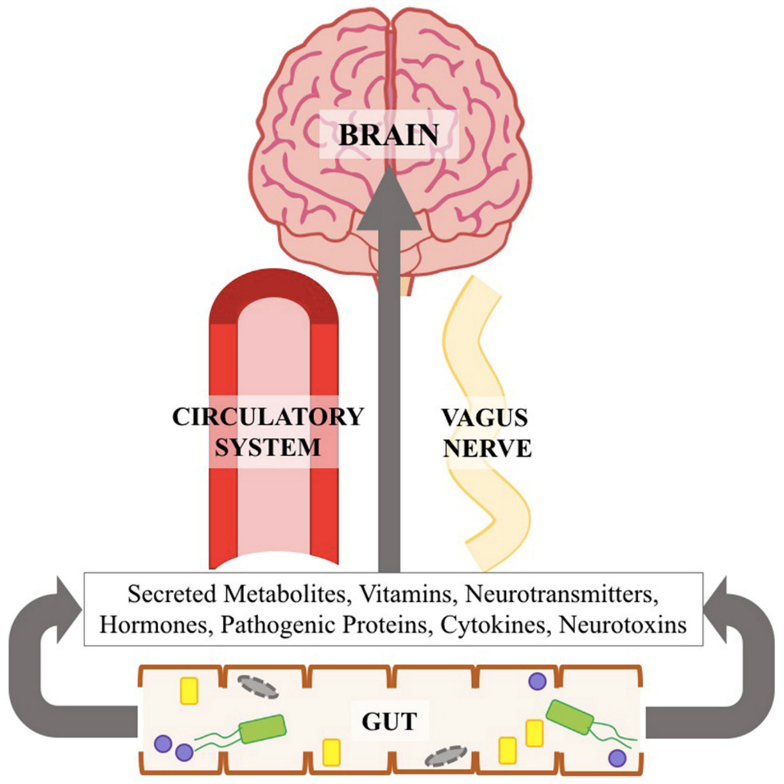 chloroquine tablet uses in hindi