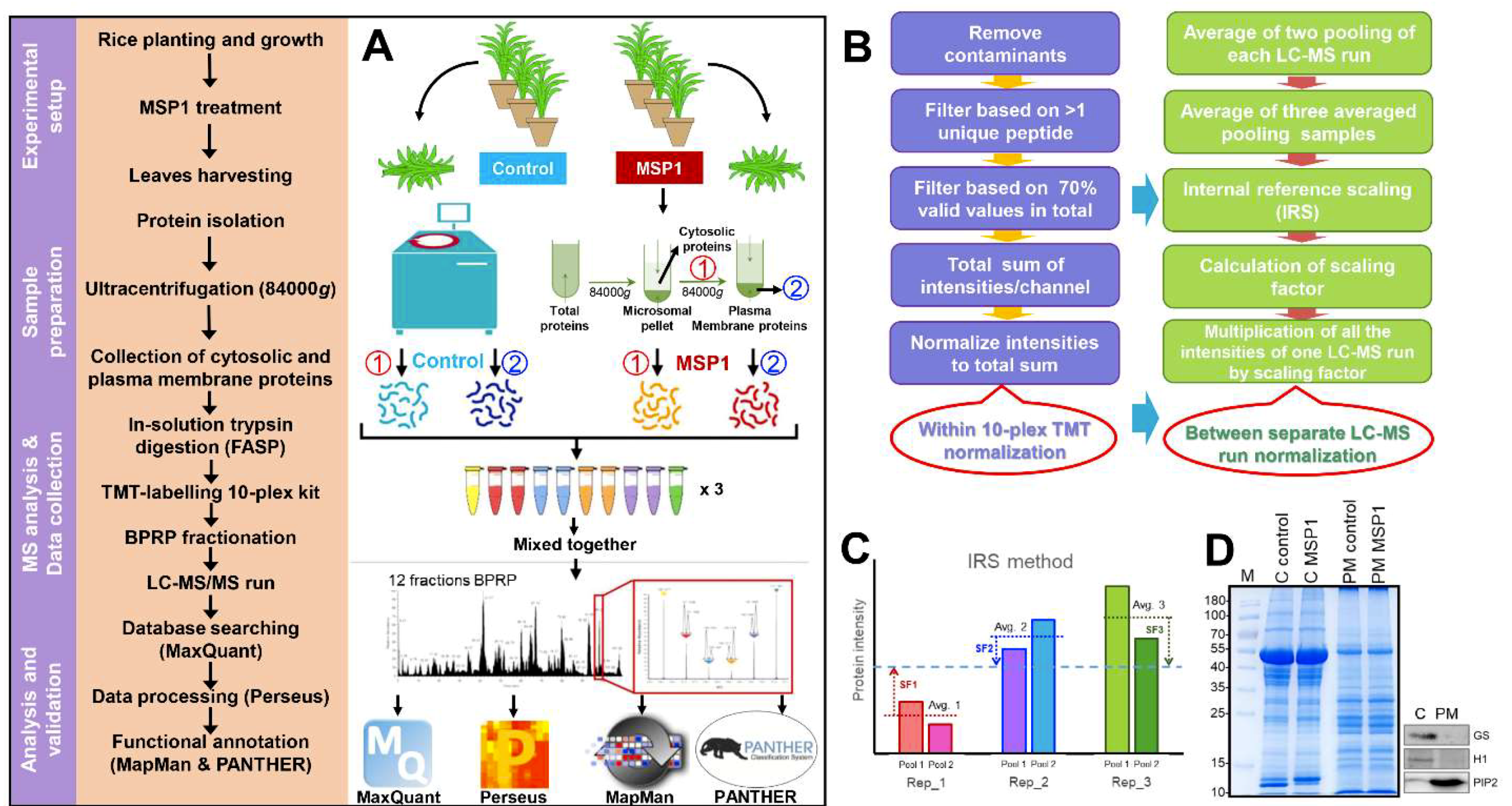 Ijms 20 04135 g001 Ijms 20 04135 g001