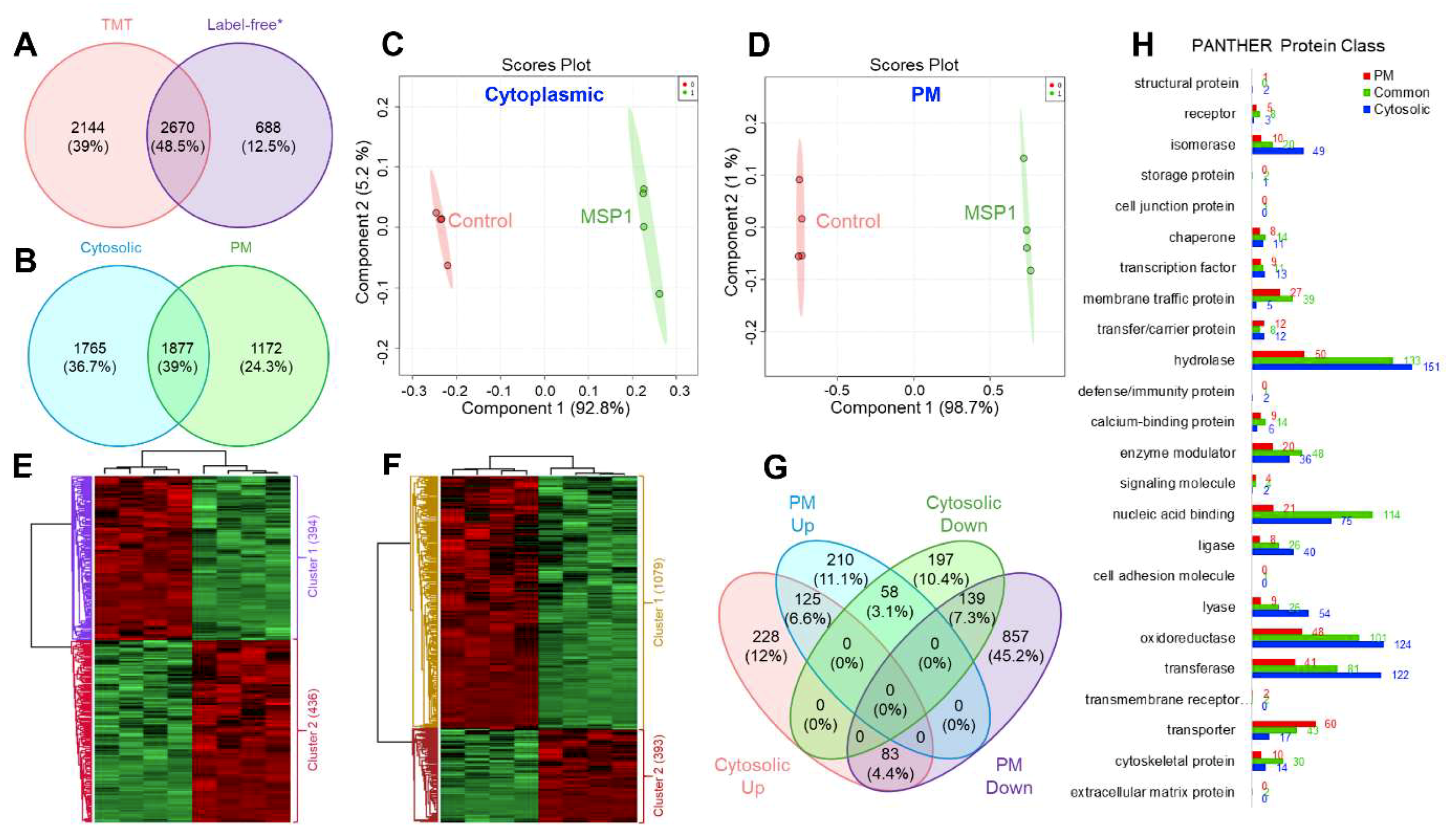Ijms 20 04135 g002 Ijms 20 04135 g002