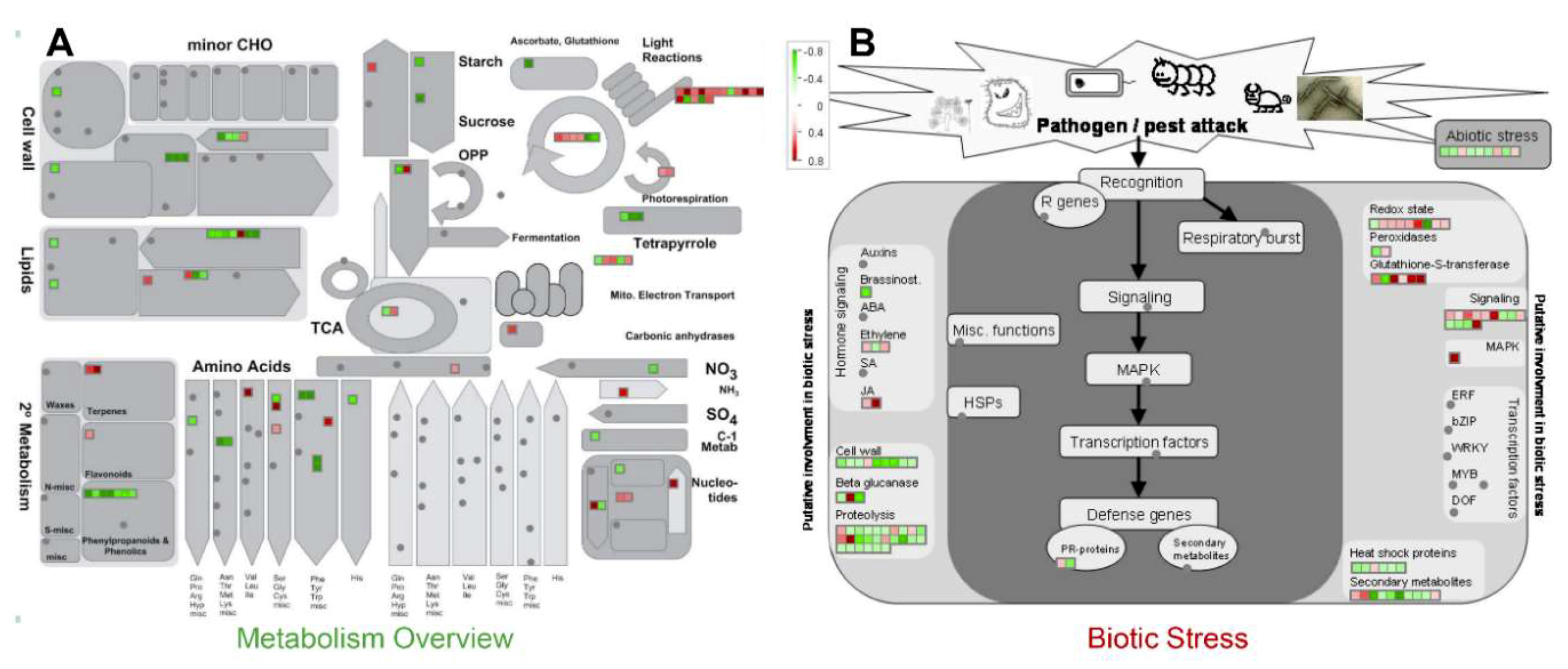 Ijms 20 04135 g003 Ijms 20 04135 g003