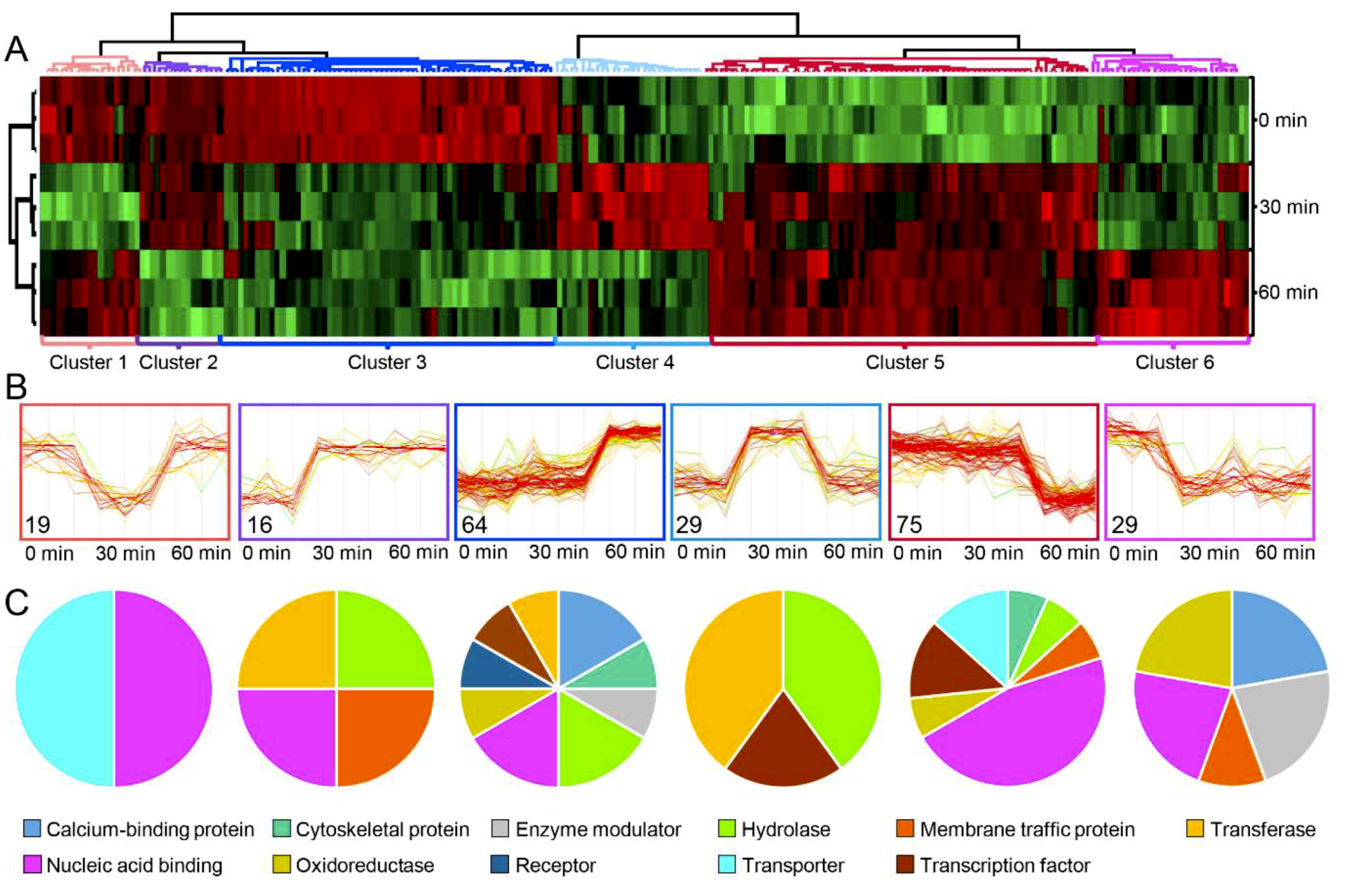 Ijms 20 04135 g004 Ijms 20 04135 g004