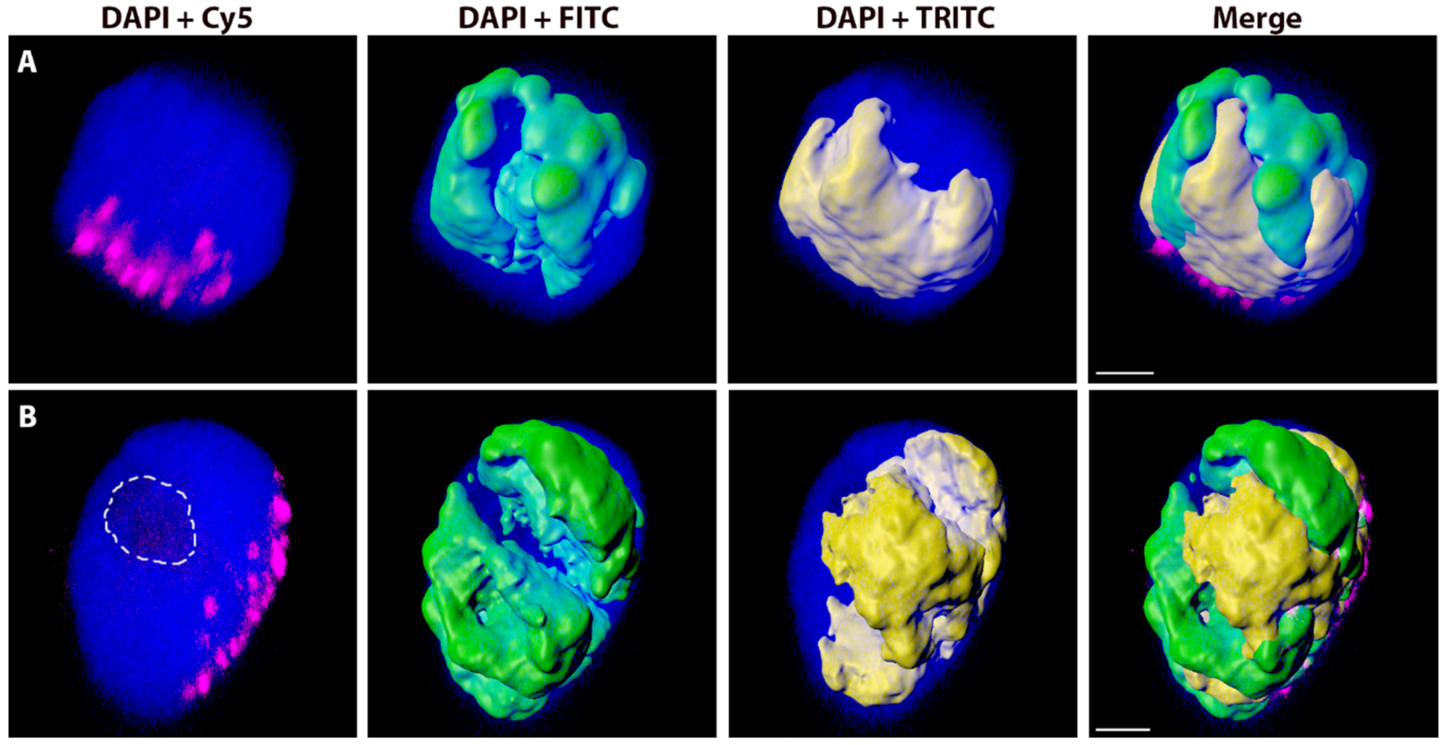 Ijms 20 04143 g002 Ijms 20 04143 g002