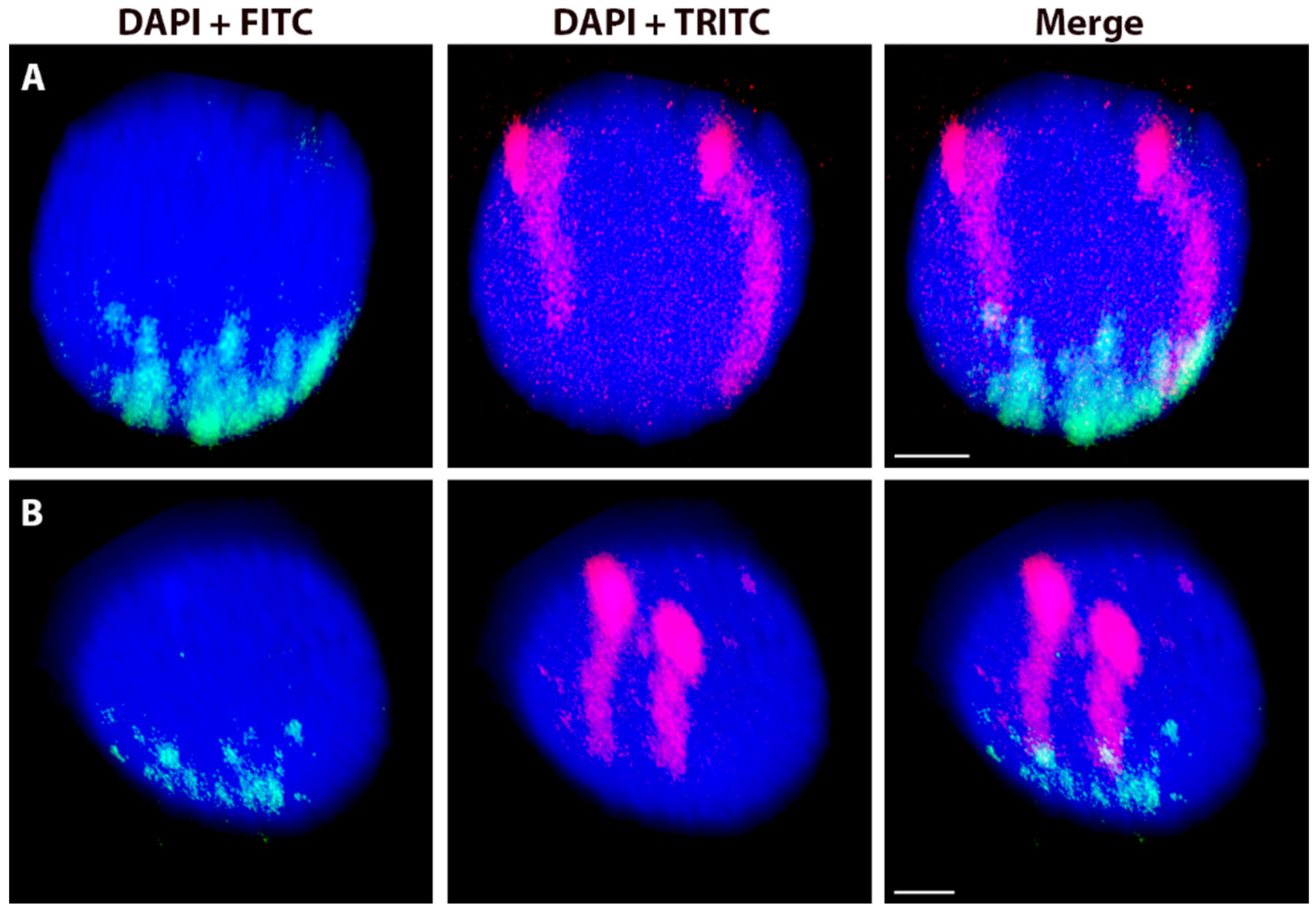 Ijms 20 04143 g0a1 Ijms 20 04143 g0a1