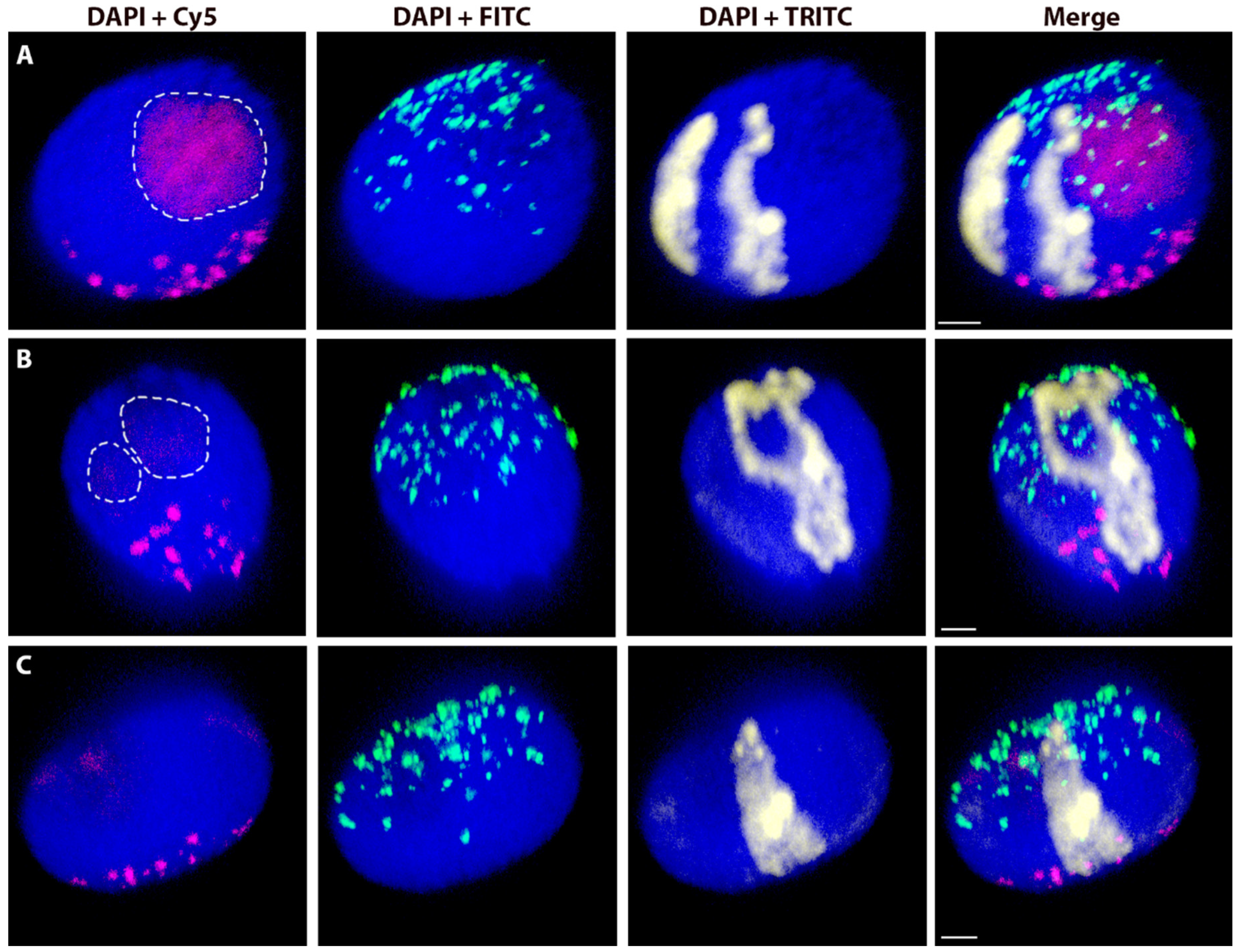 Ijms 20 04143 g0a4 Ijms 20 04143 g0a4