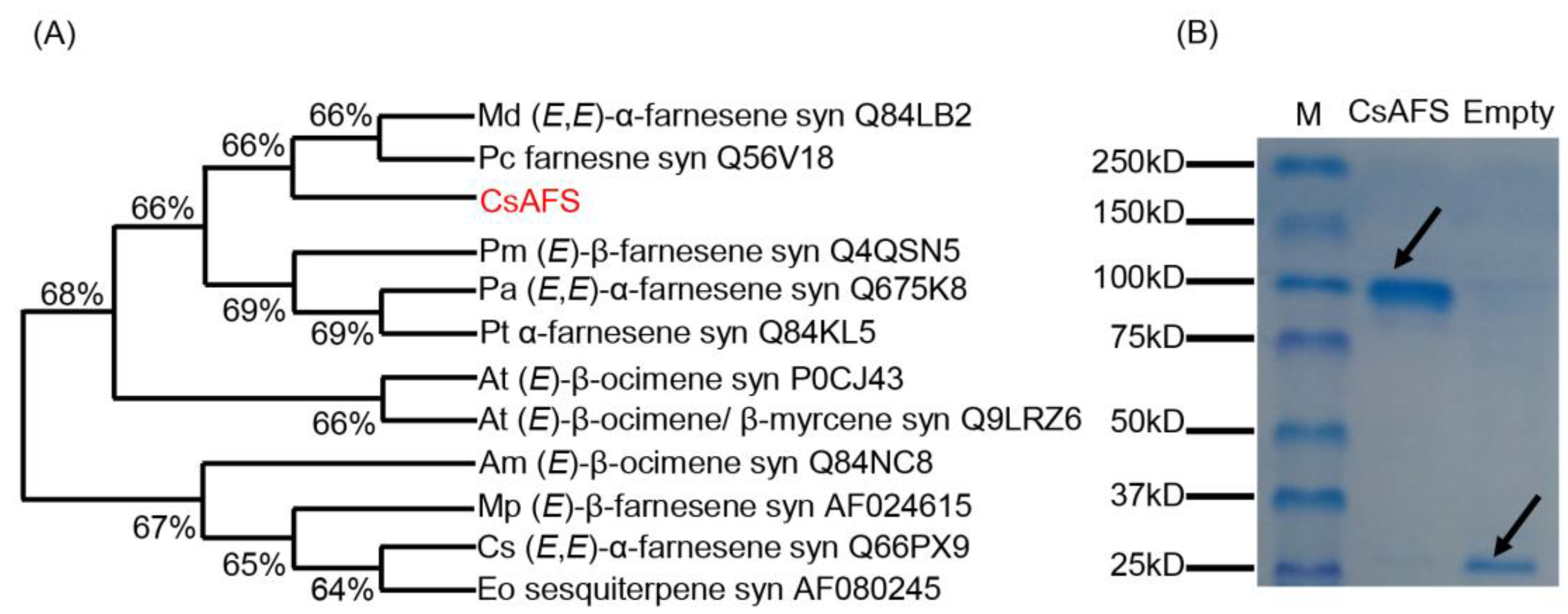 Ijms 20 04151 g002 Ijms 20 04151 g002