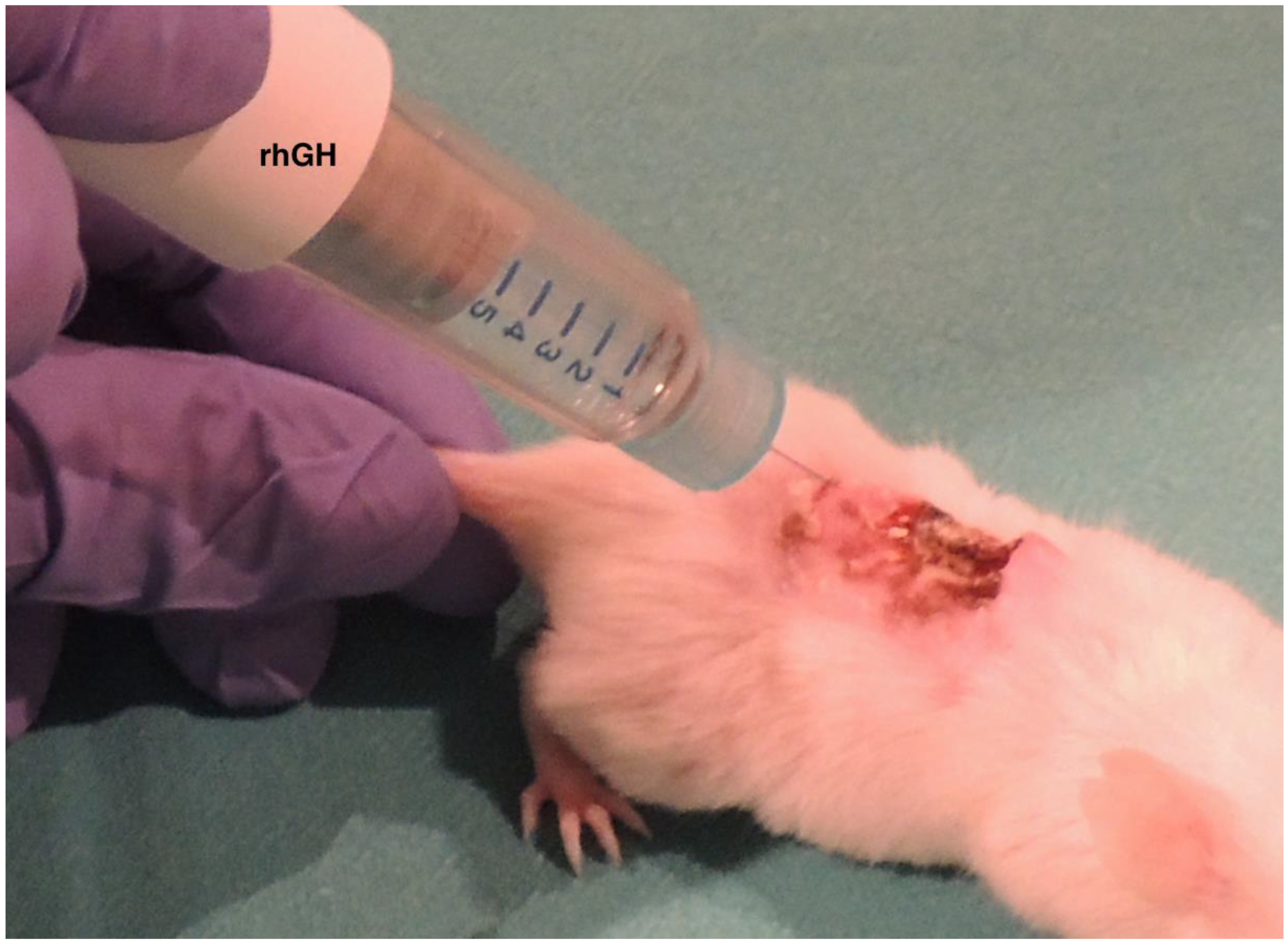 Ijms 20 04157 g008 Ijms 20 04157 g008