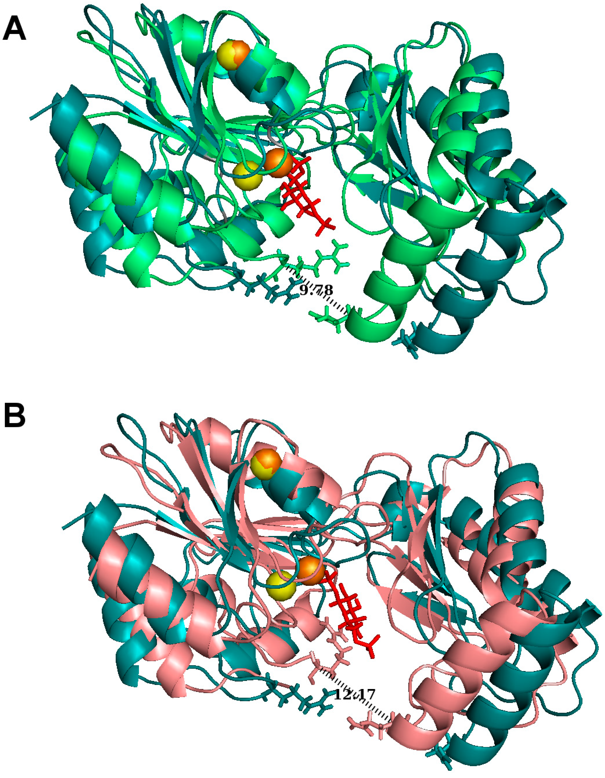 Ijms 20 04164 g002 Ijms 20 04164 g002