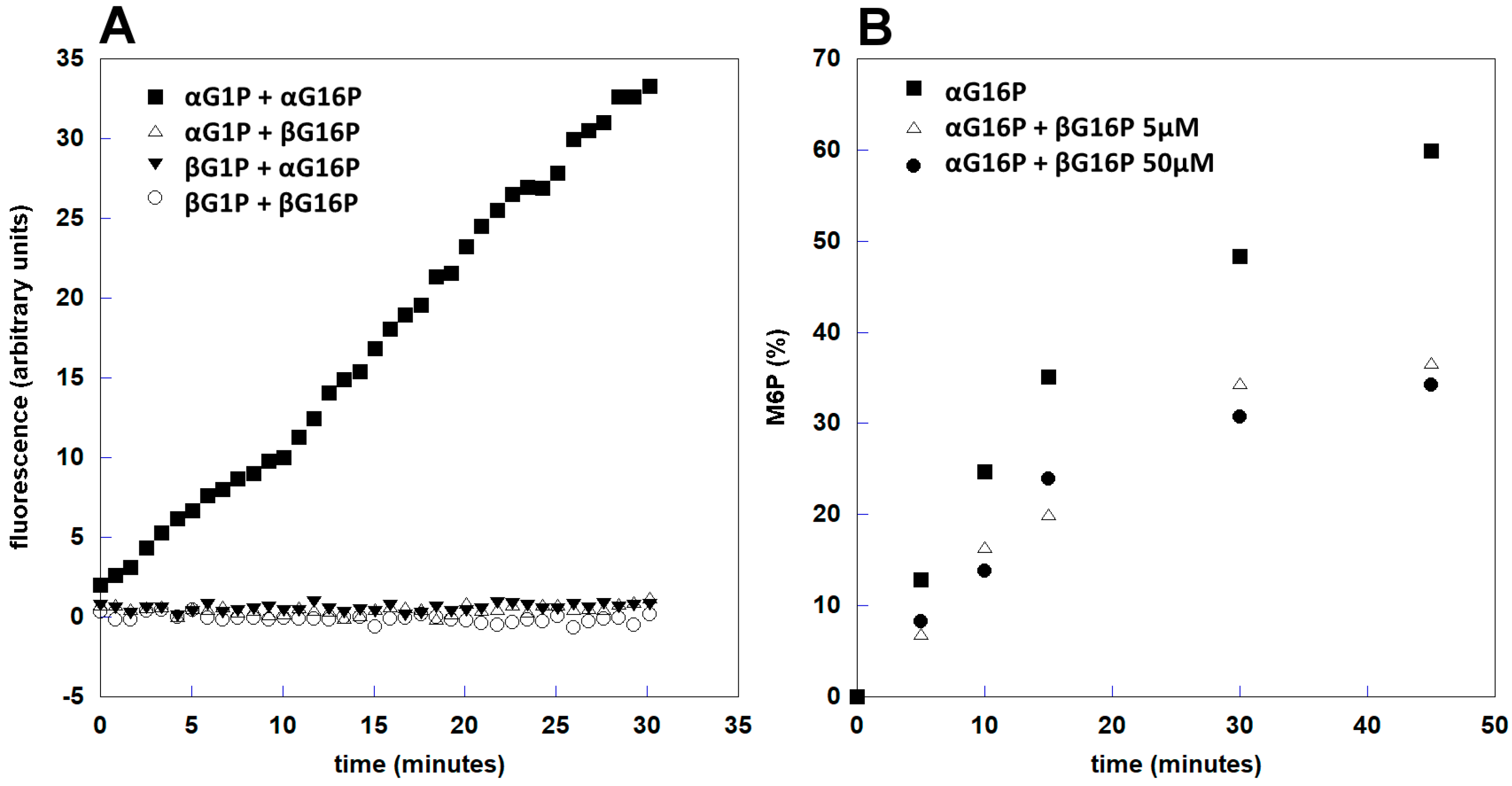 Ijms 20 04164 g005 Ijms 20 04164 g005