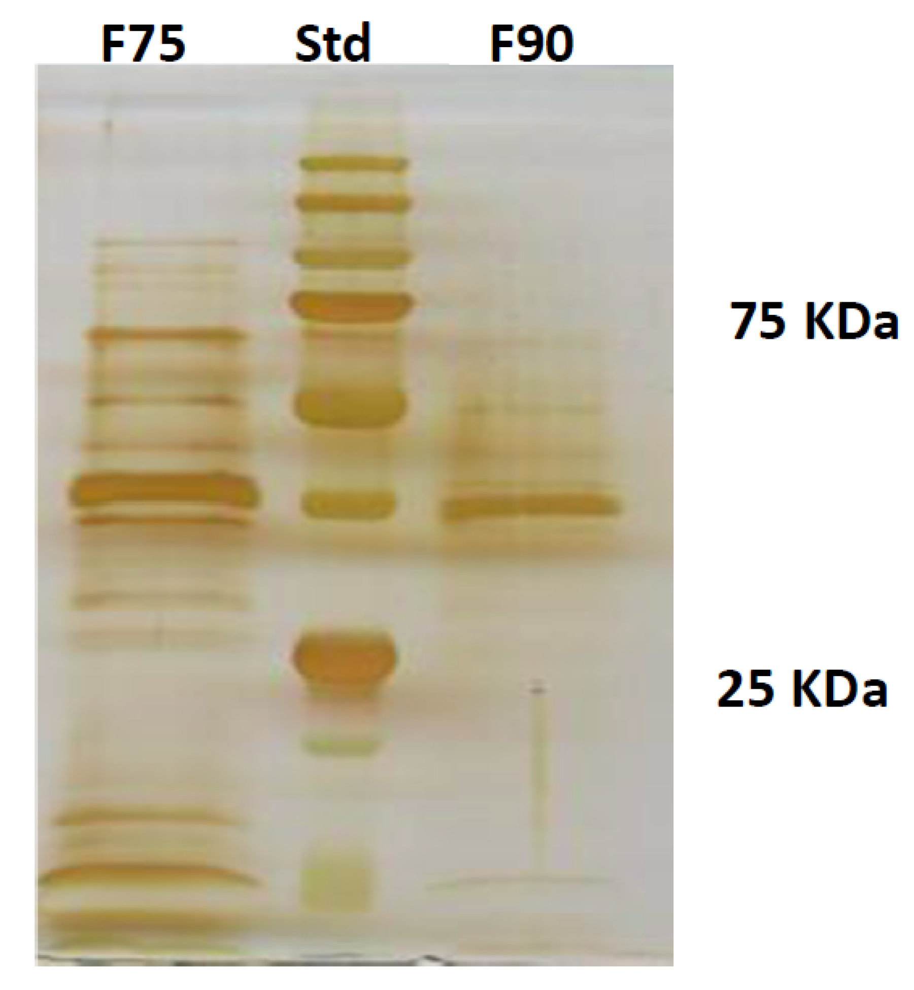 Ijms 20 04167 g002
