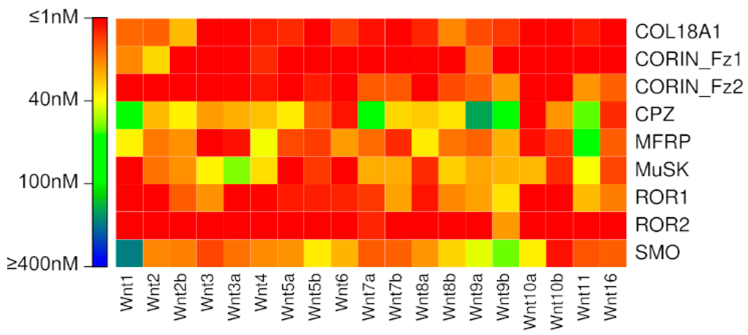 Ijms 20 04168 g001 Ijms 20 04168 g001