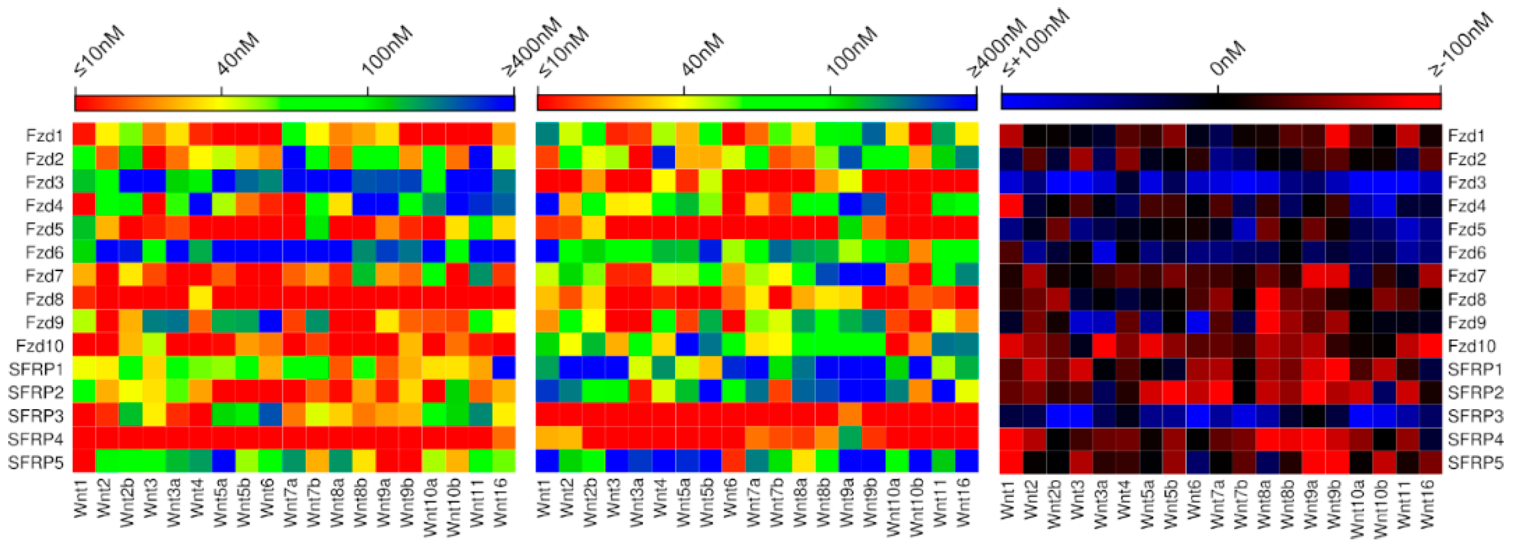 Ijms 20 04168 g003 Ijms 20 04168 g003