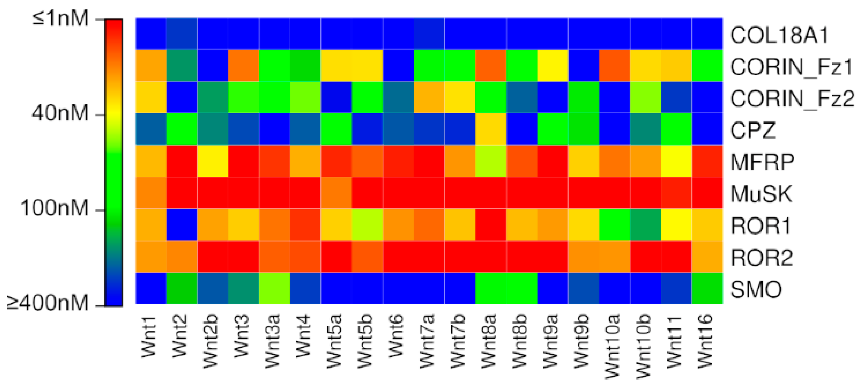 Ijms 20 04168 g004 Ijms 20 04168 g004