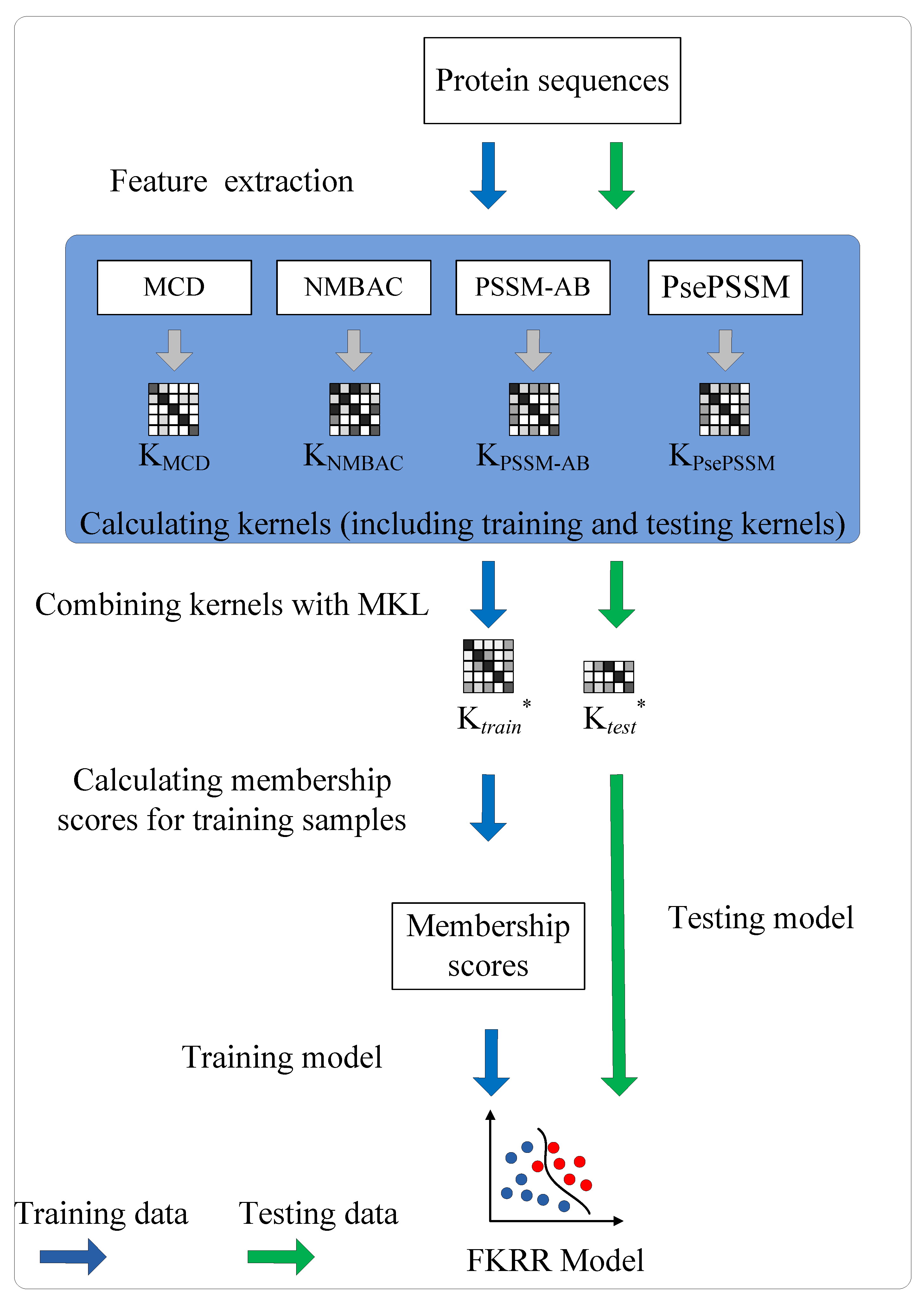 Ijms 20 04175 g004 Ijms 20 04175 g004