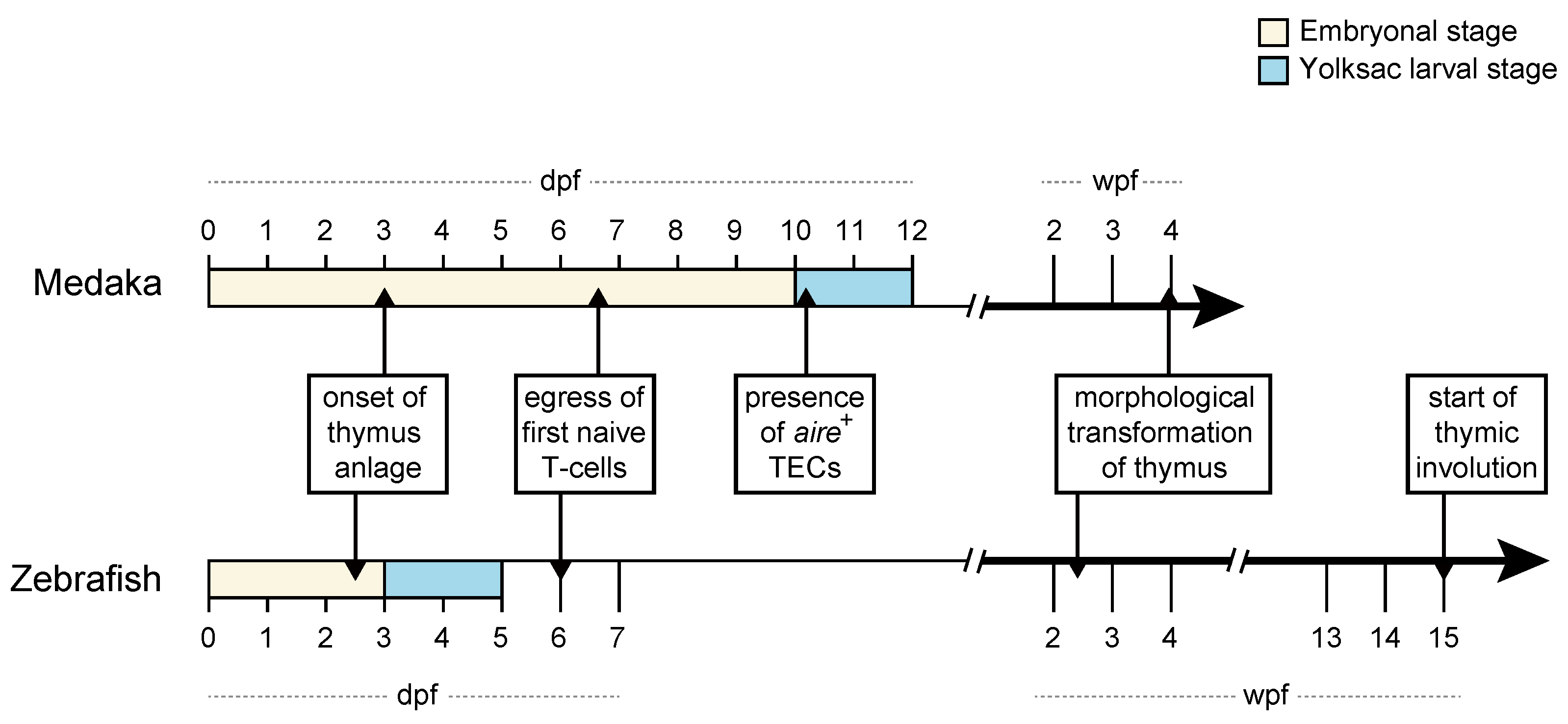 Ijms 20 04179 g001