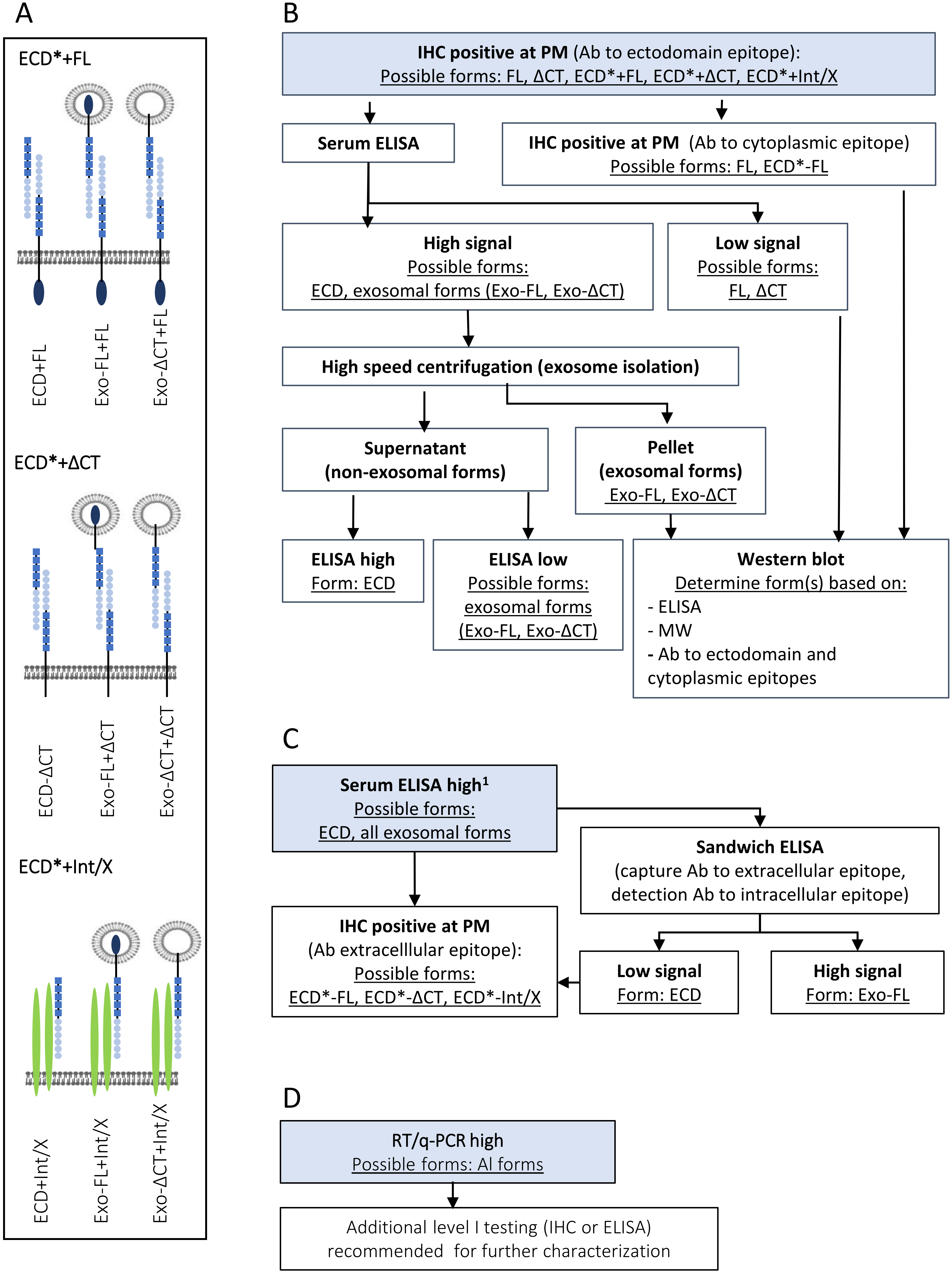 Ijms 20 04180 g005 Ijms 20 04180 g005