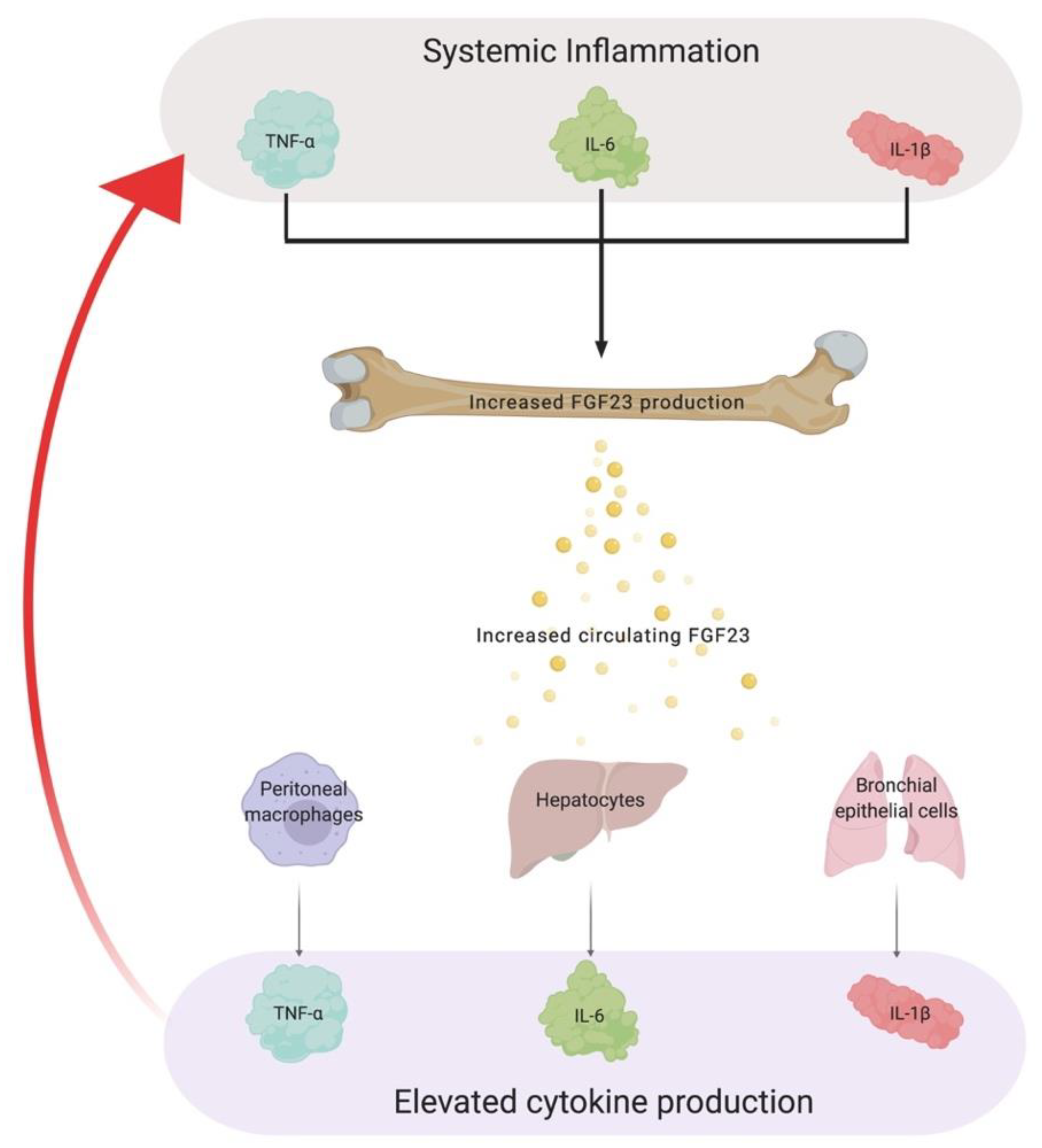 Ijms 20 04195 g003 Ijms 20 04195 g003