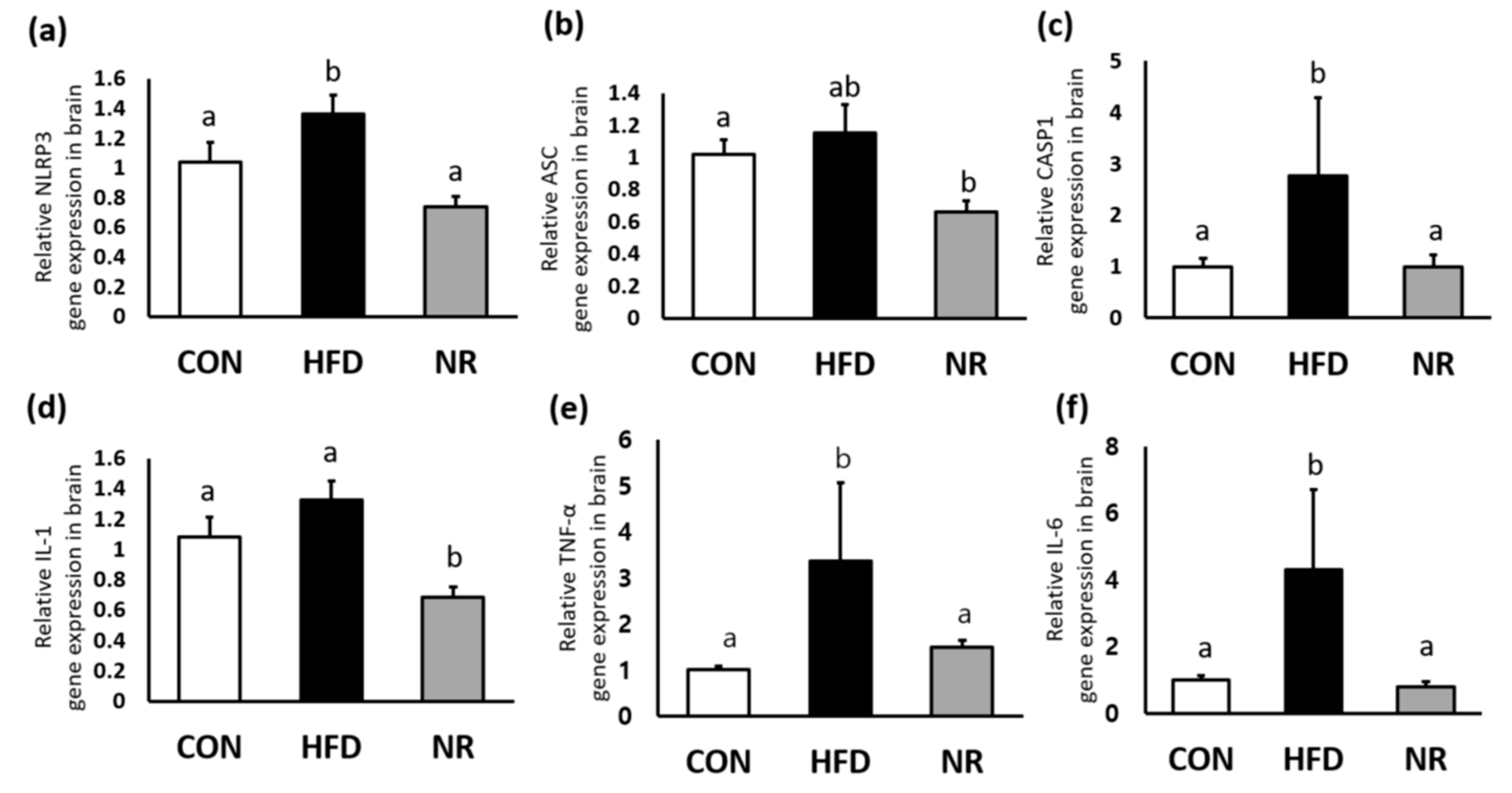 Ijms 20 04196 g001 Ijms 20 04196 g001