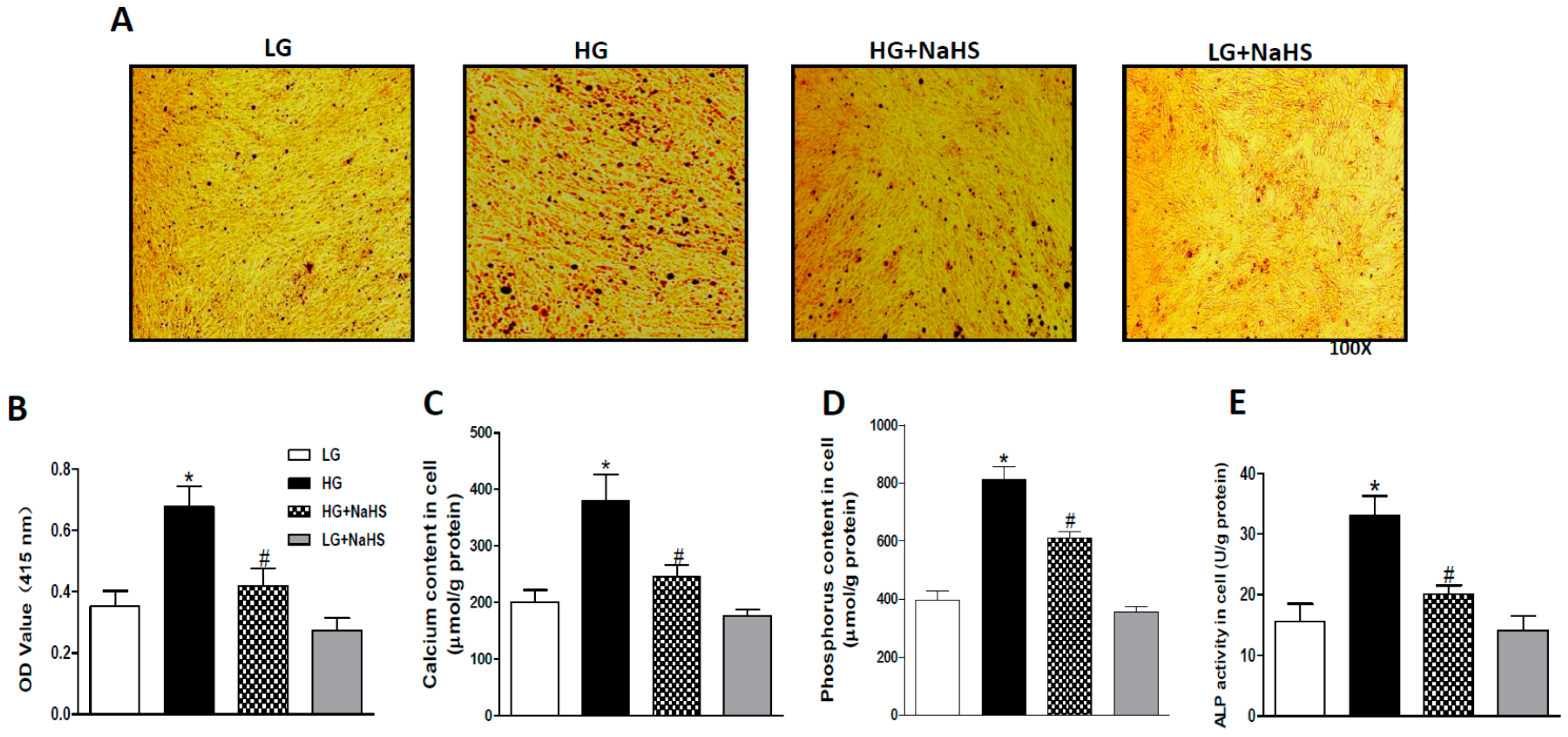 Ijms 20 04202 g001 Ijms 20 04202 g001