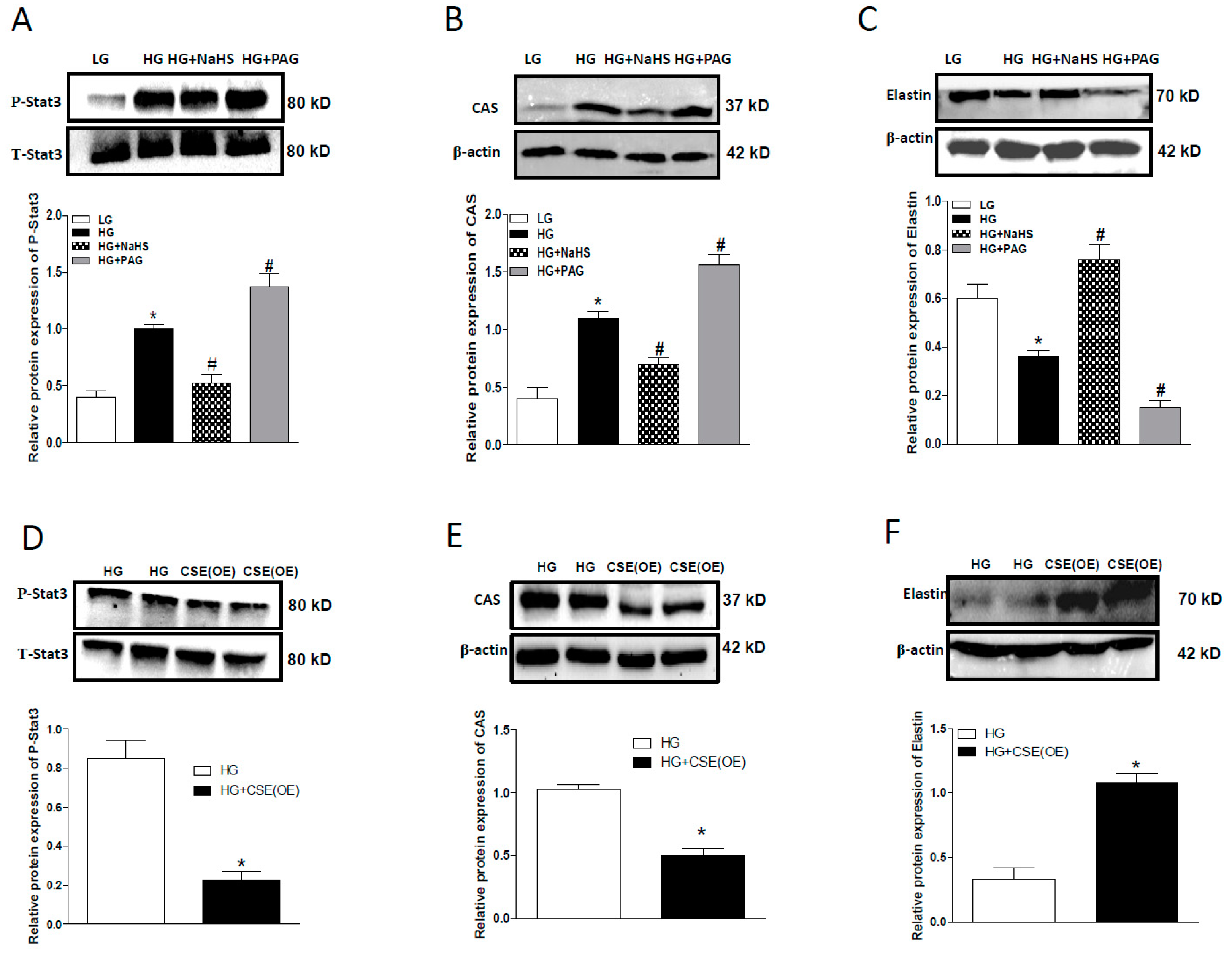 Ijms 20 04202 g004 Ijms 20 04202 g004