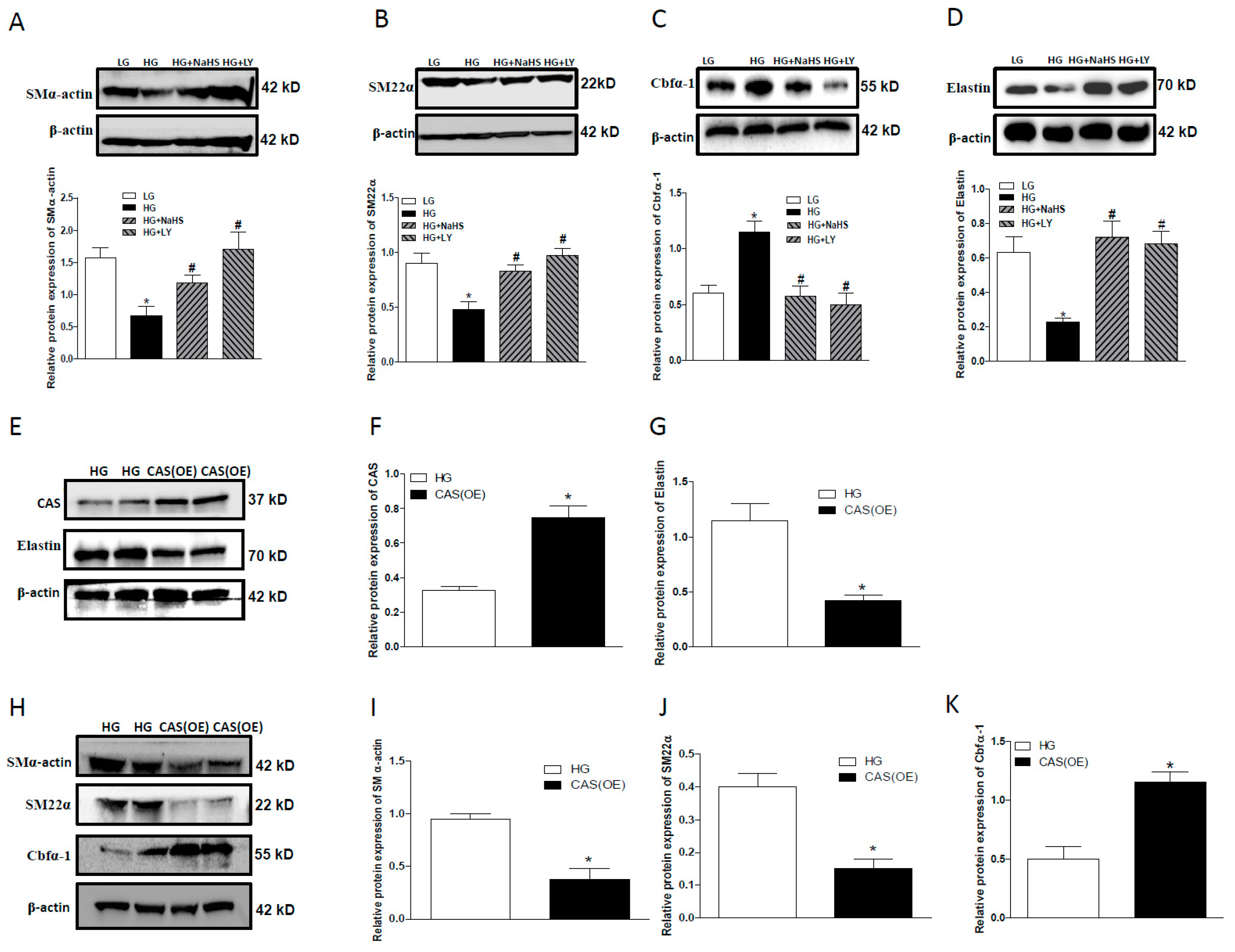 Ijms 20 04202 g005 Ijms 20 04202 g005