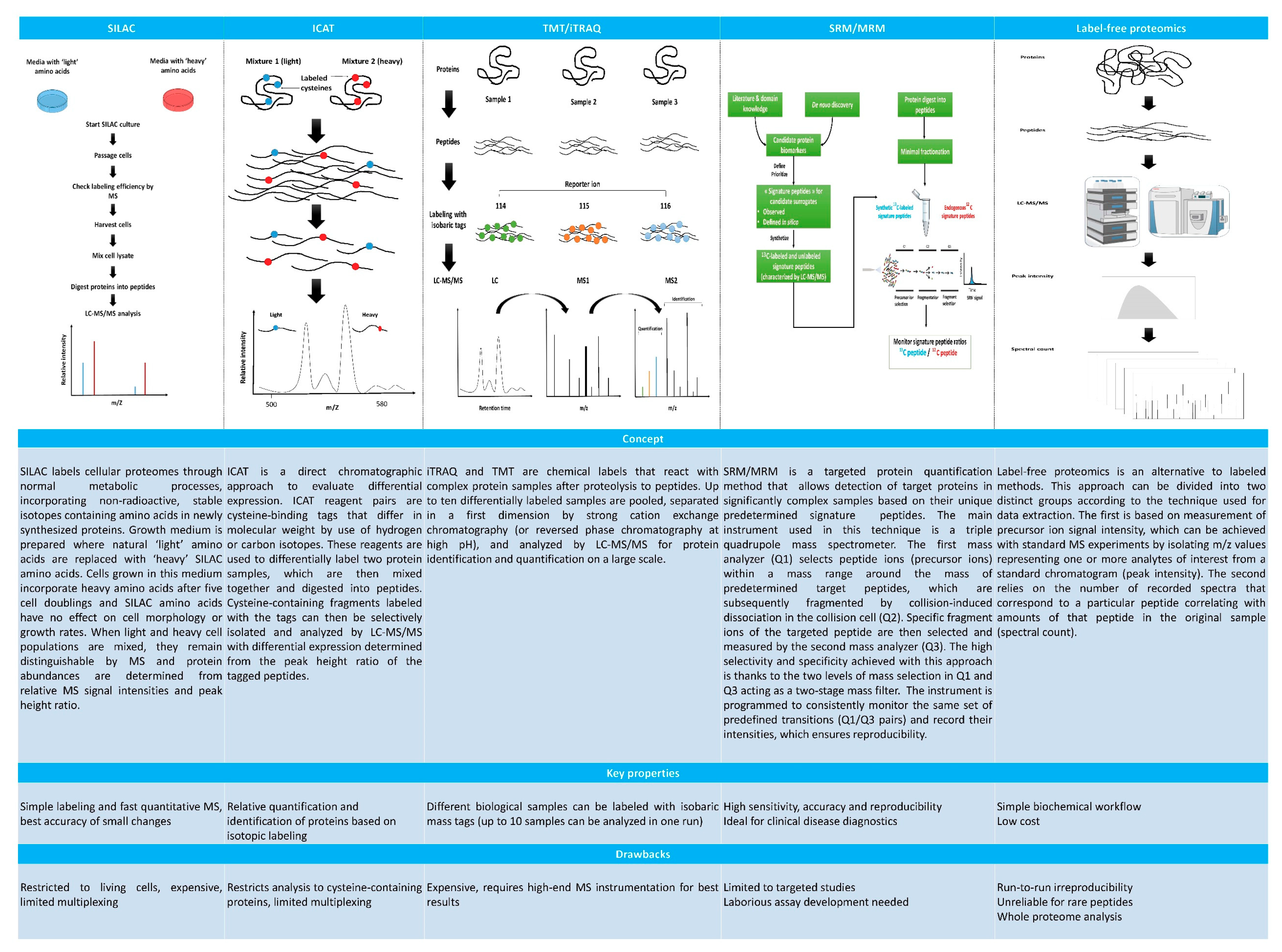 Ijms 20 04209 g002 Ijms 20 04209 g002