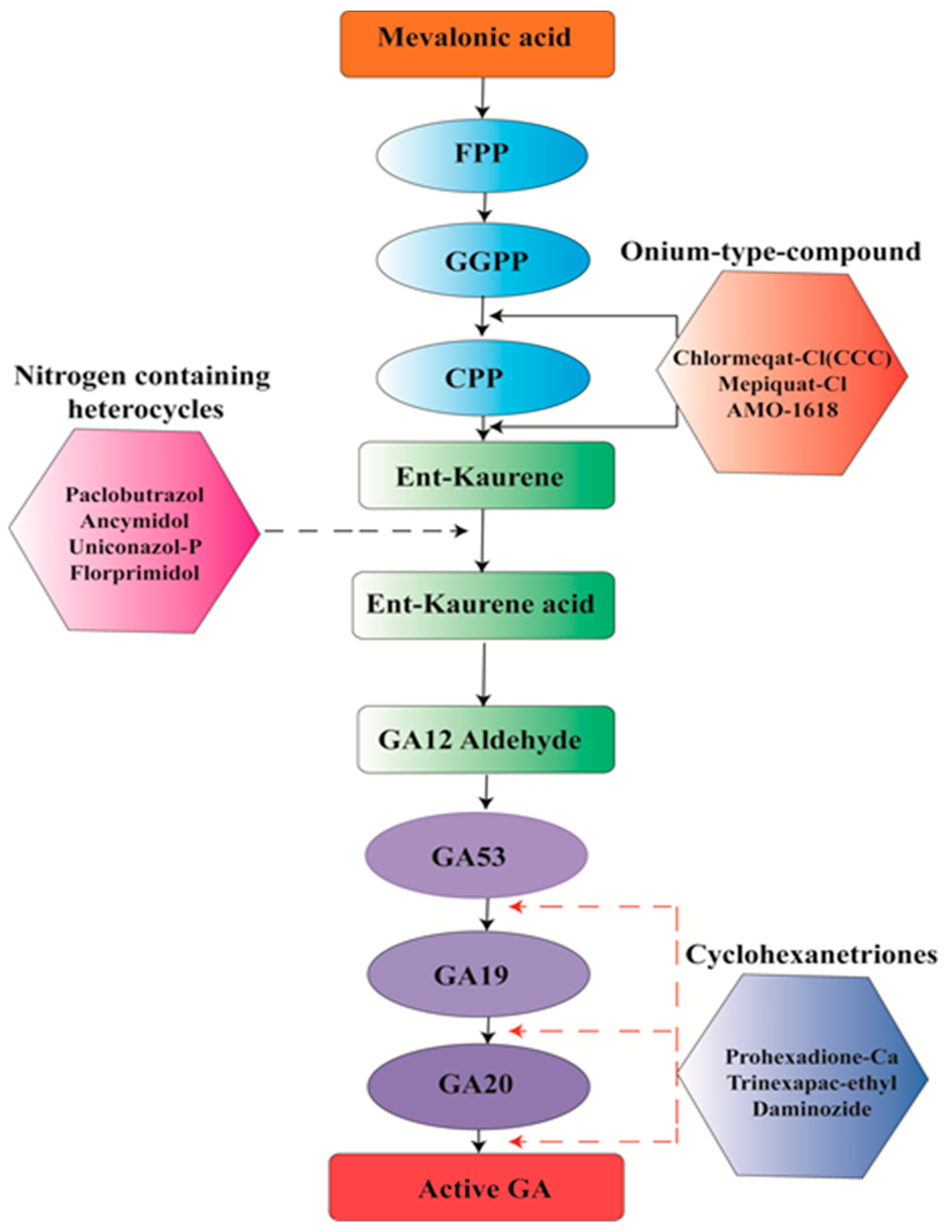 Ijms 20 04211 g004 Ijms 20 04211 g004