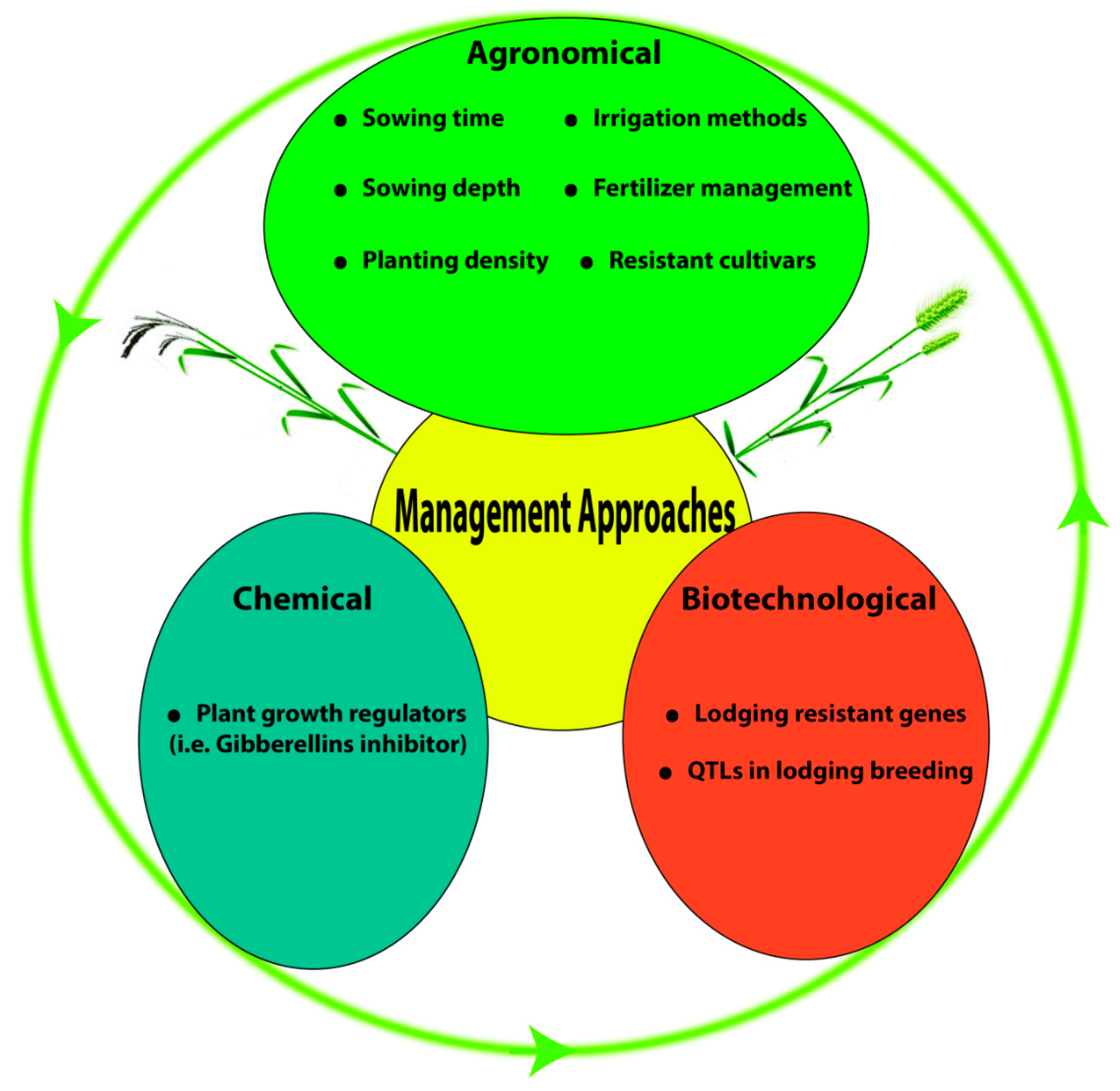 Ijms 20 04211 g005 Ijms 20 04211 g005