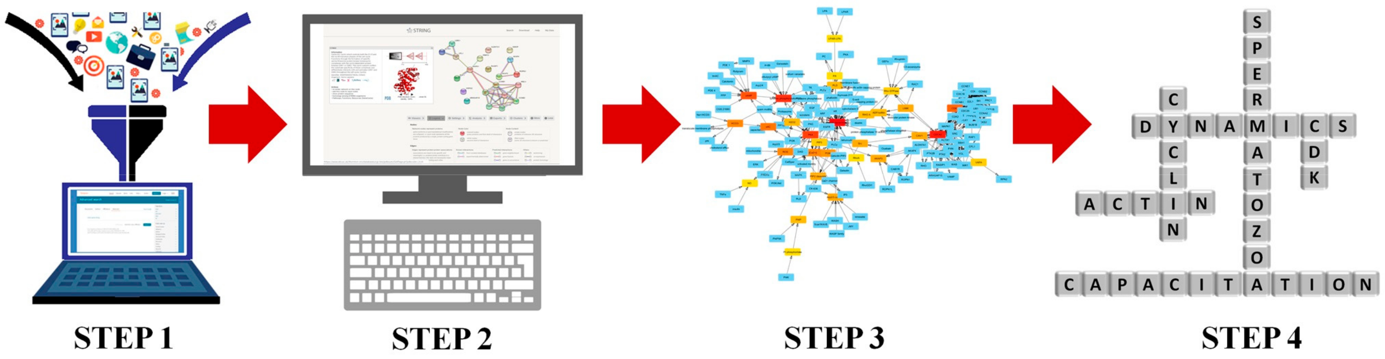 Ijms 20 04236 g001 Ijms 20 04236 g001