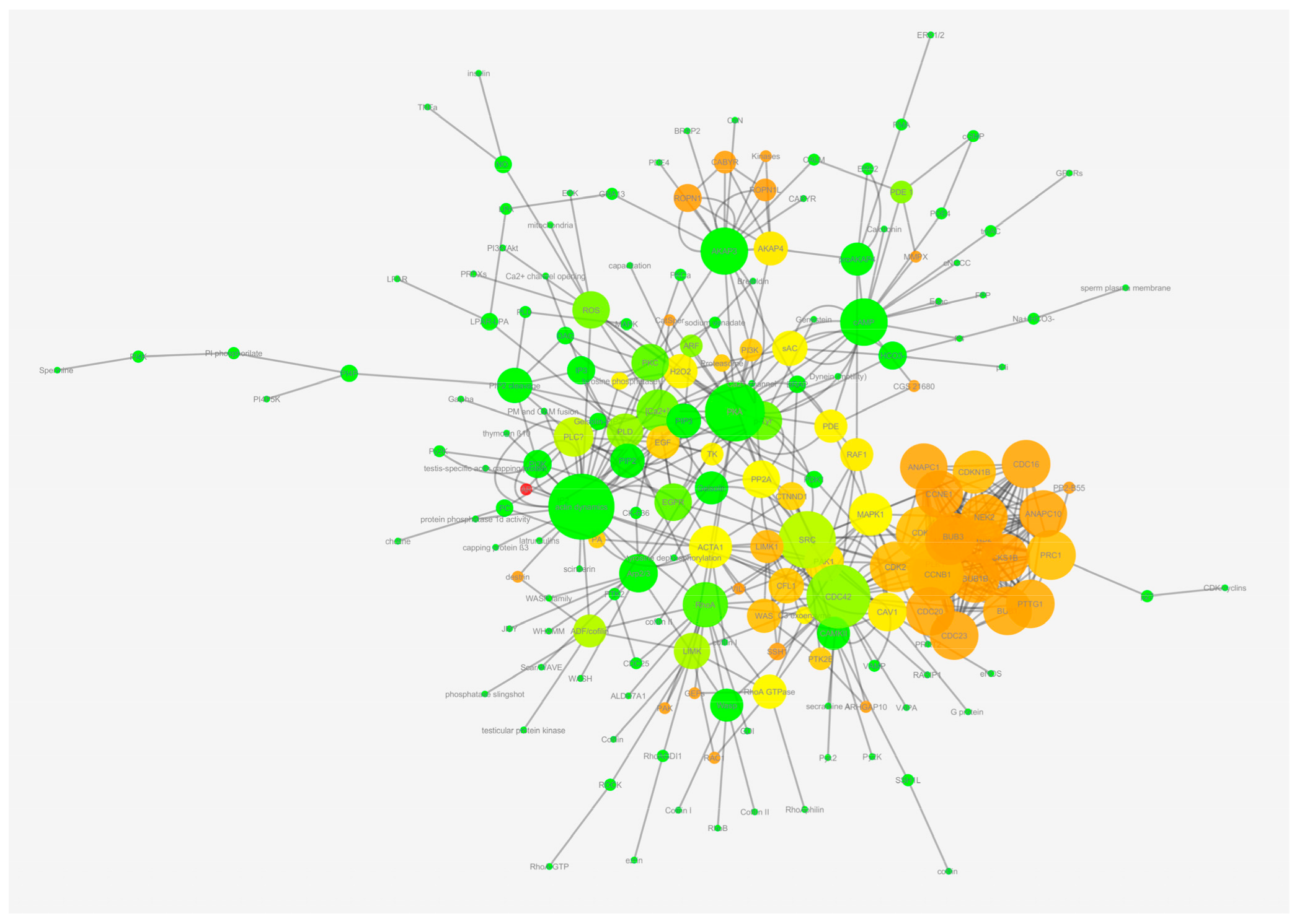 Ijms 20 04236 g002 Ijms 20 04236 g002