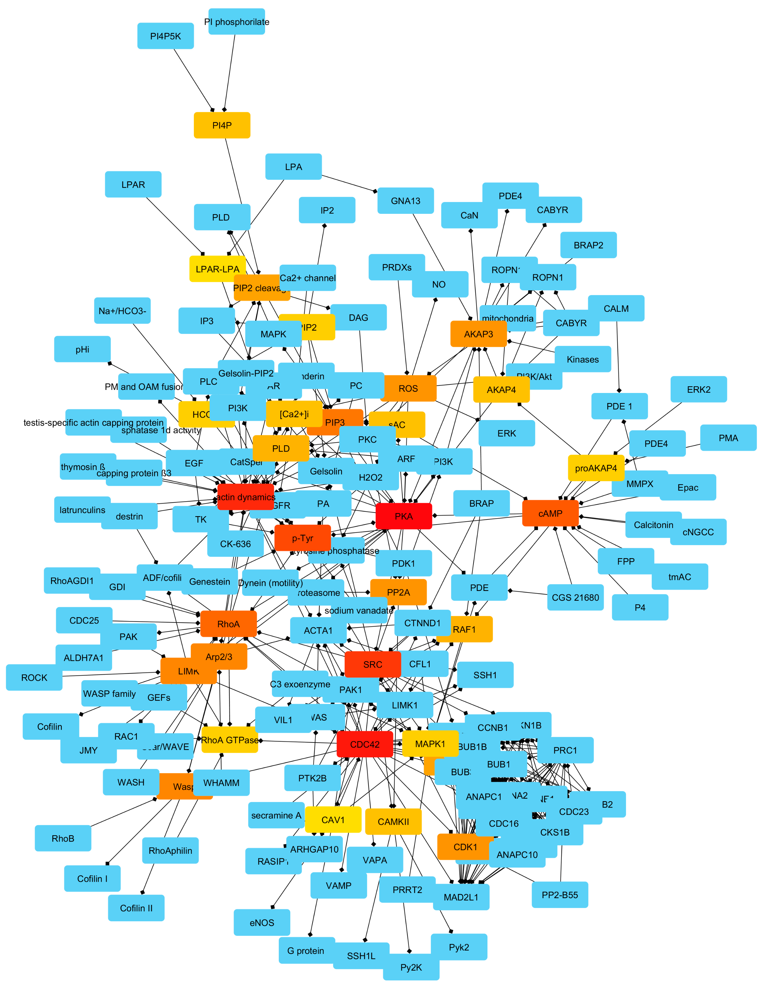 Ijms 20 04236 g004 Ijms 20 04236 g004