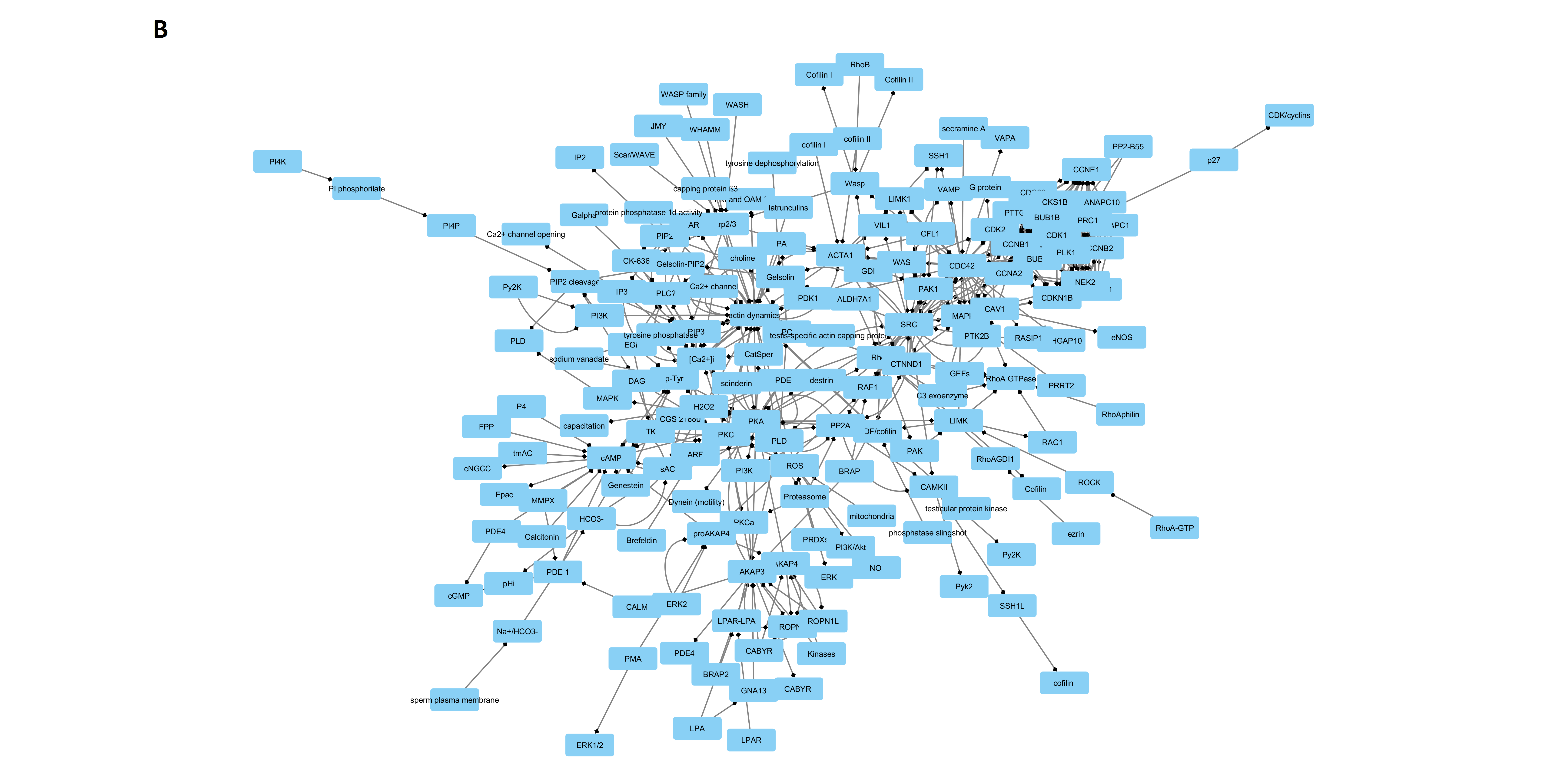 Ijms 20 04236 g006b Ijms 20 04236 g006b