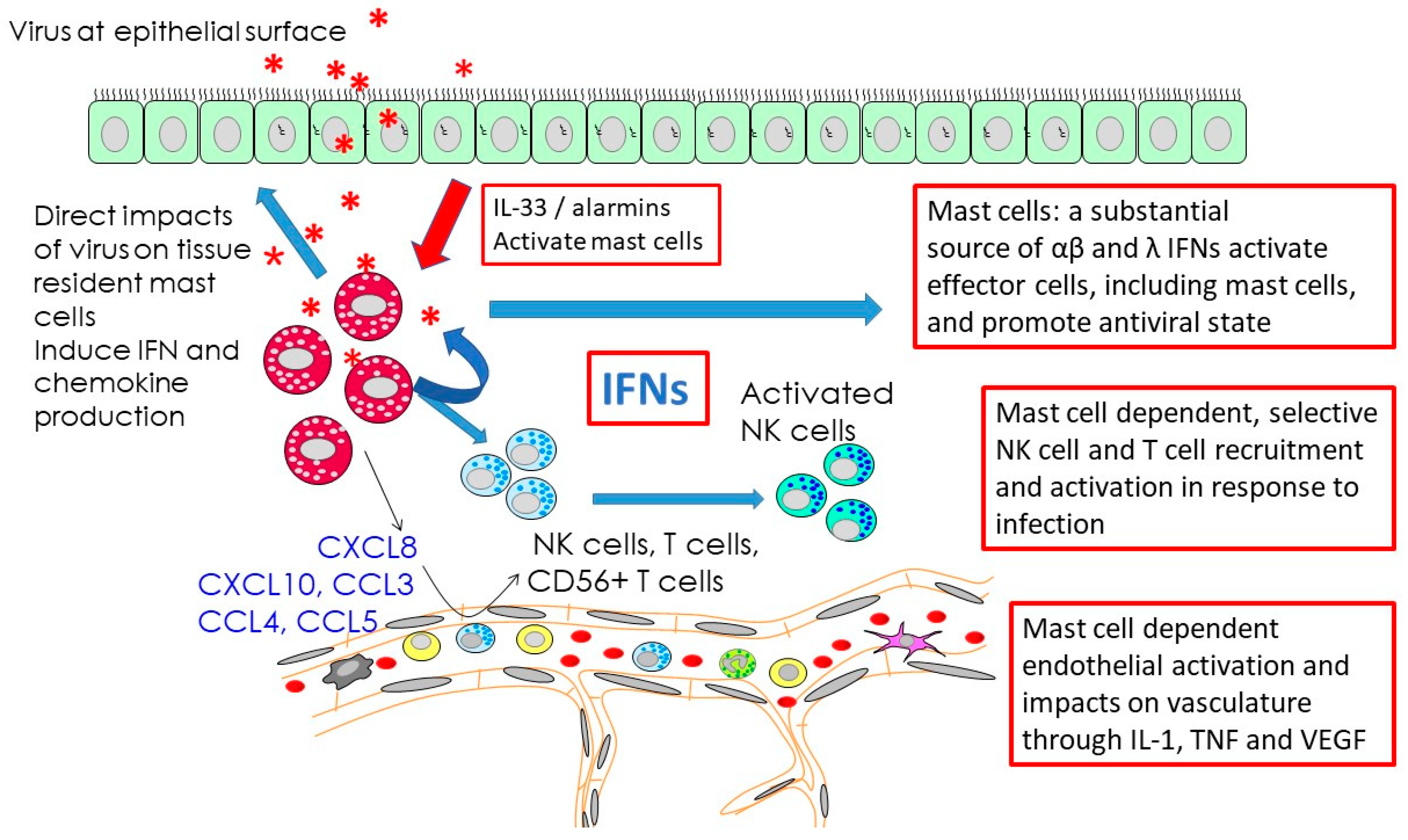Ijms 20 04241 g001 Ijms 20 04241 g001