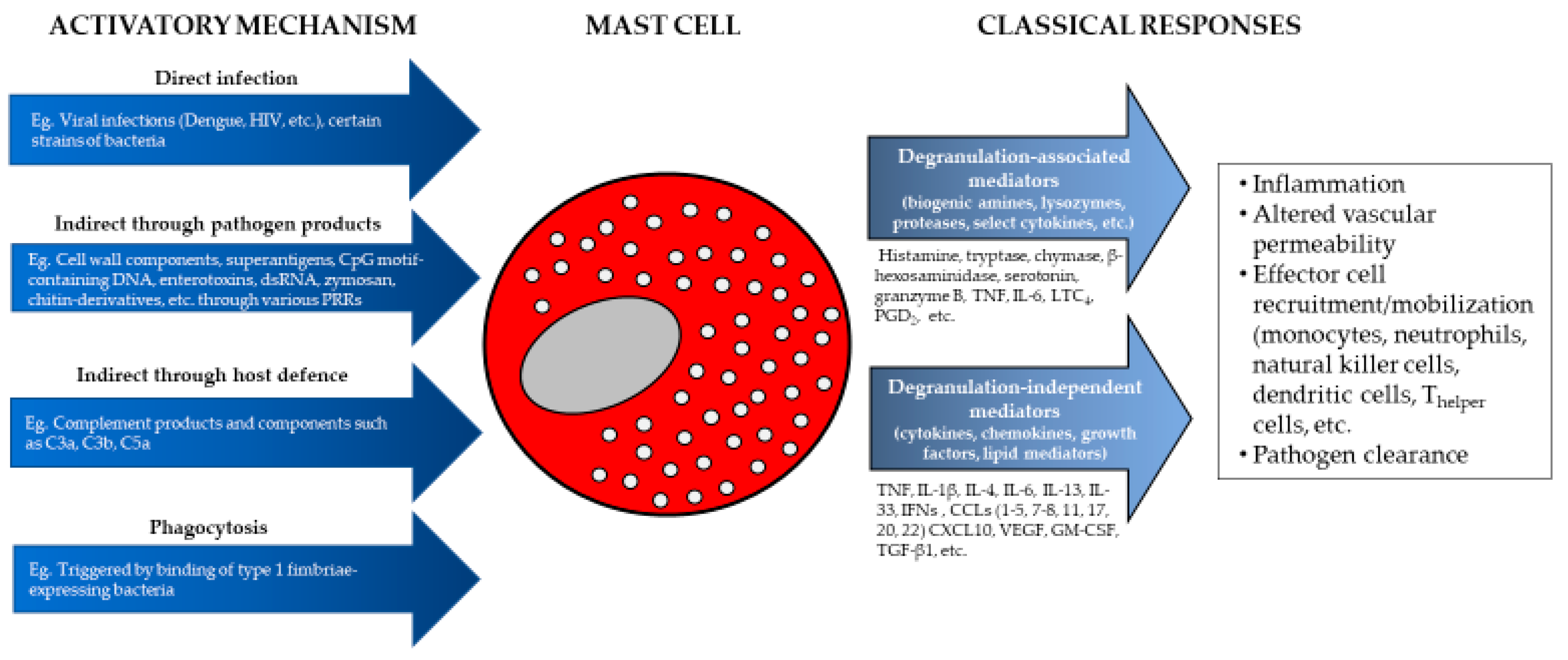 Ijms 20 04241 g002 Ijms 20 04241 g002
