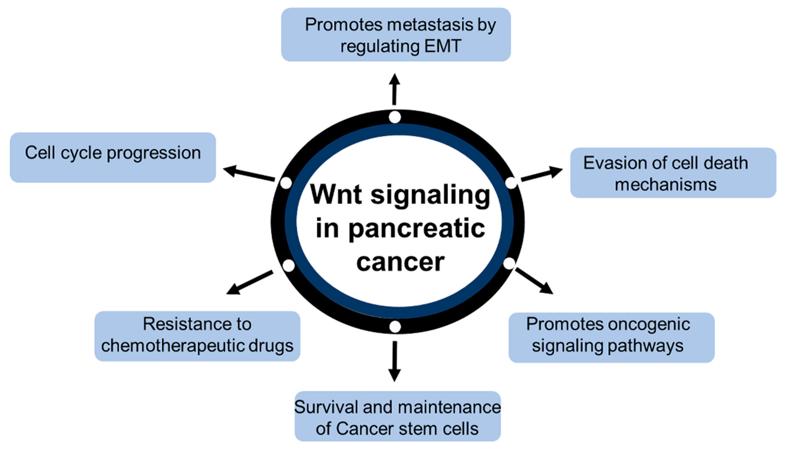 Ijms 20 04242 g002 Ijms 20 04242 g002