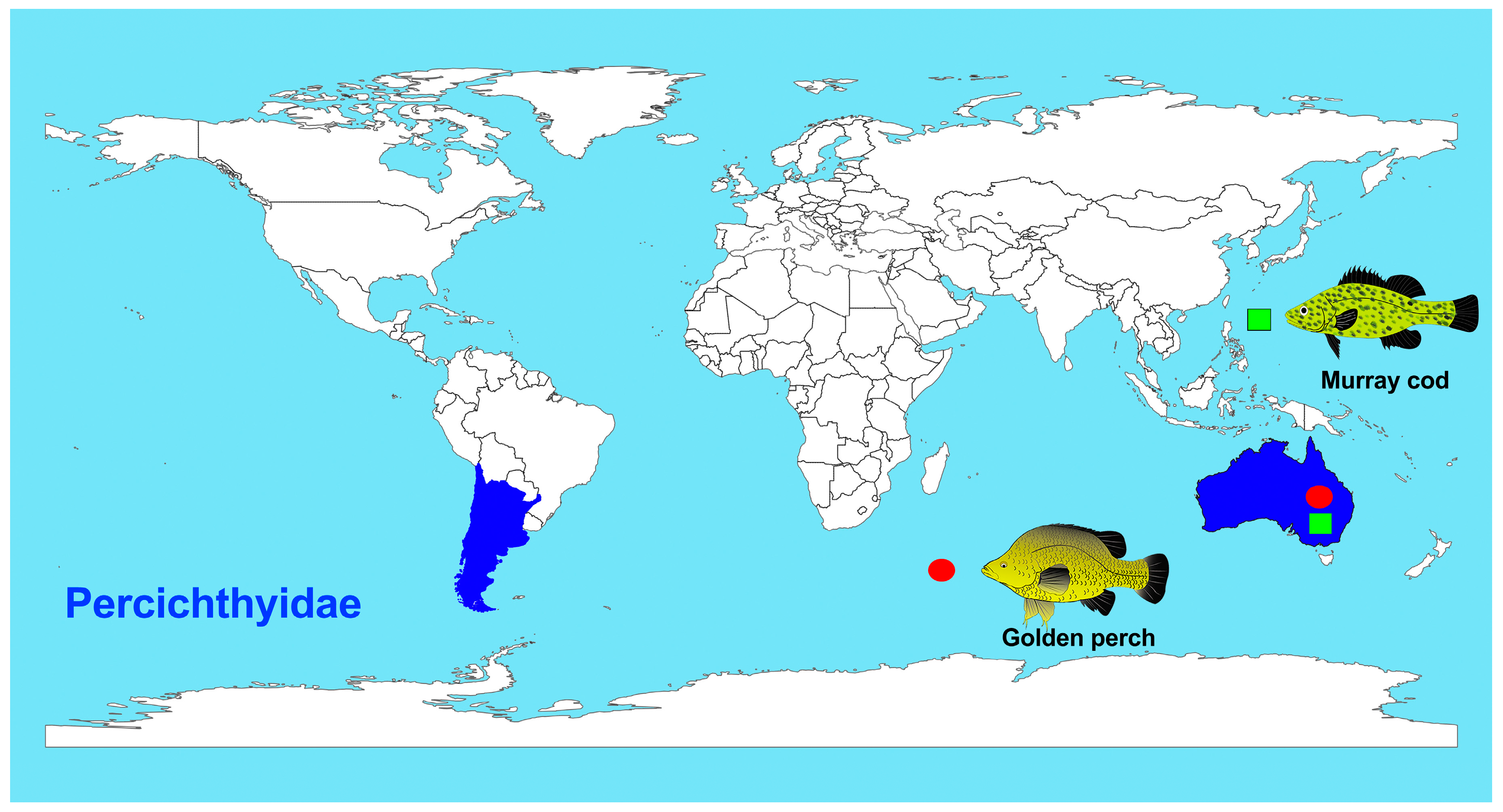 Ijms 20 04244 g001 Ijms 20 04244 g001