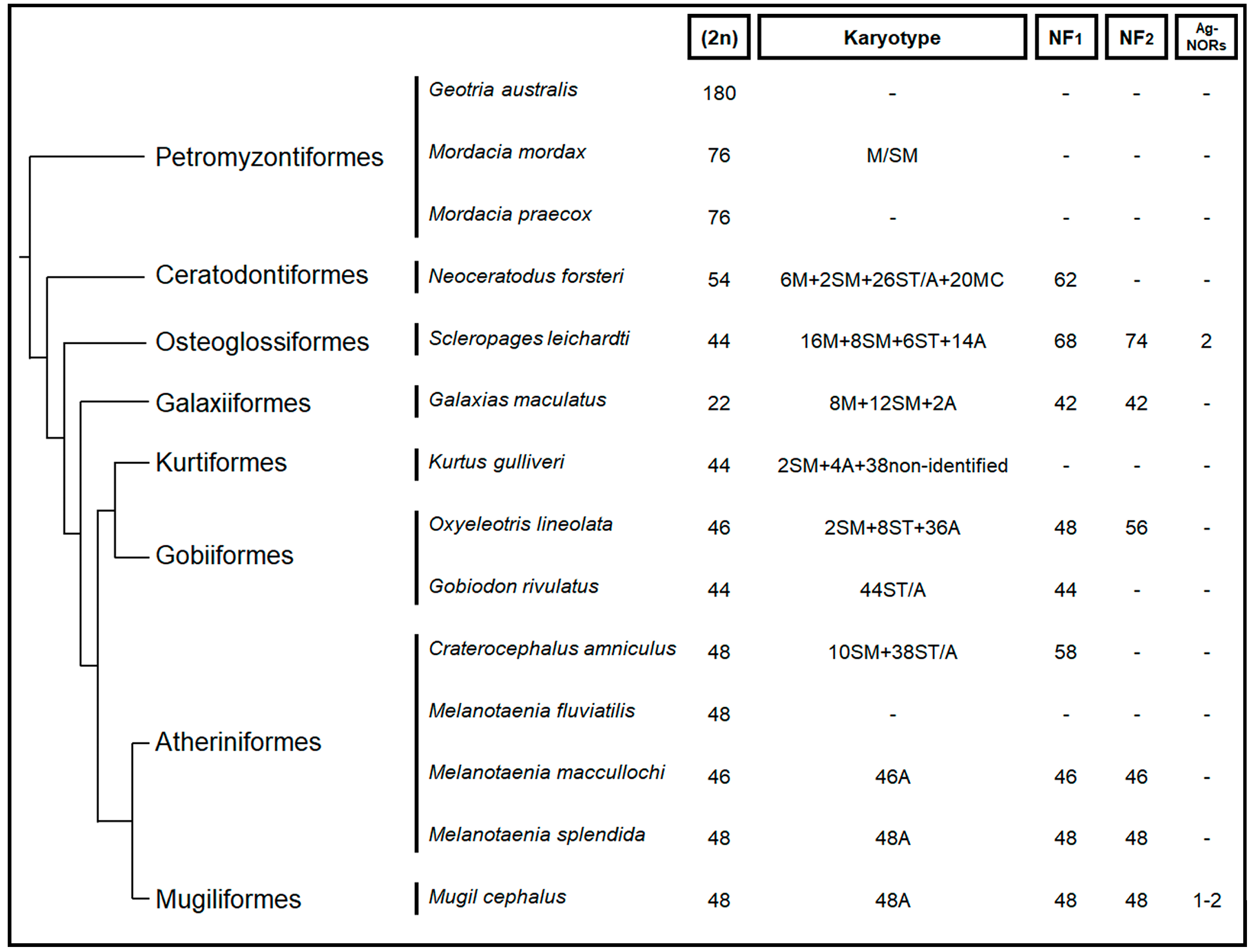 Ijms 20 04244 g002 Ijms 20 04244 g002